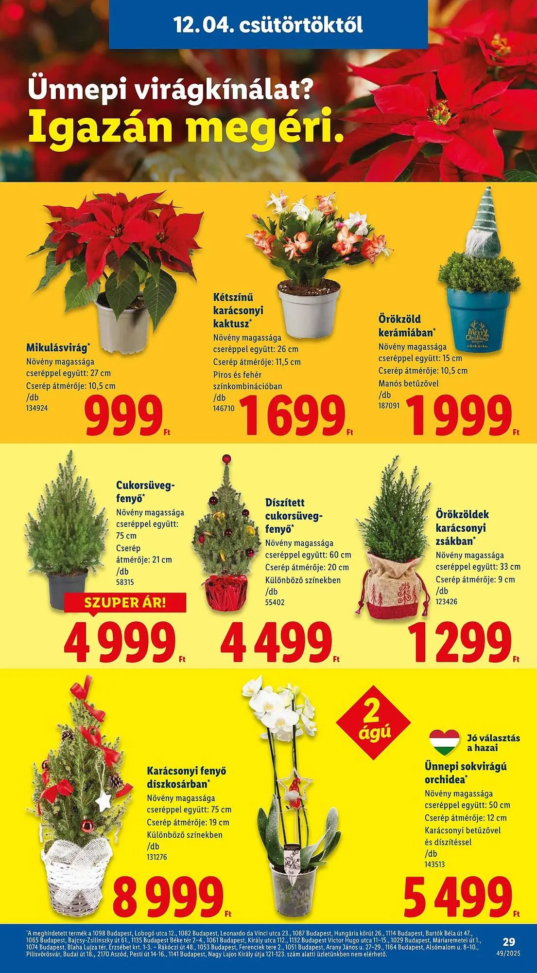 Katalógus Lidl akciós újság december 4.-tól december 10.-ig 2025. - Oldal 29