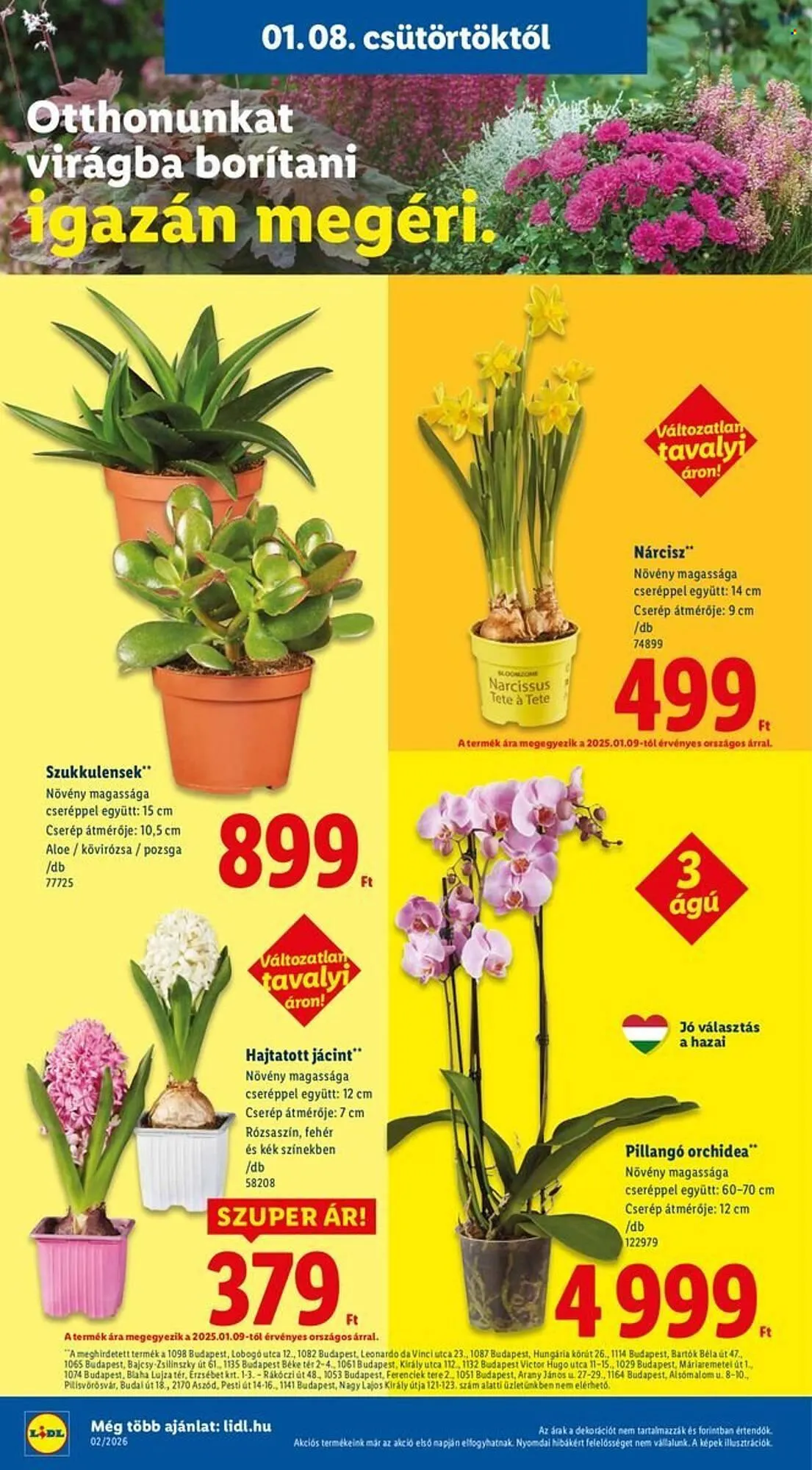 Katalógus Lidl akciós újság január 8.-tól január 14.-ig 2026. - Oldal 24