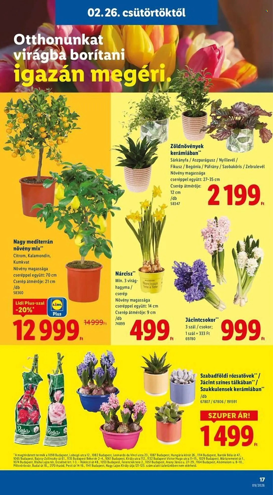 Katalógus Lidl akciós újság február 26.-tól március 4.-ig 2026. - Oldal 17
