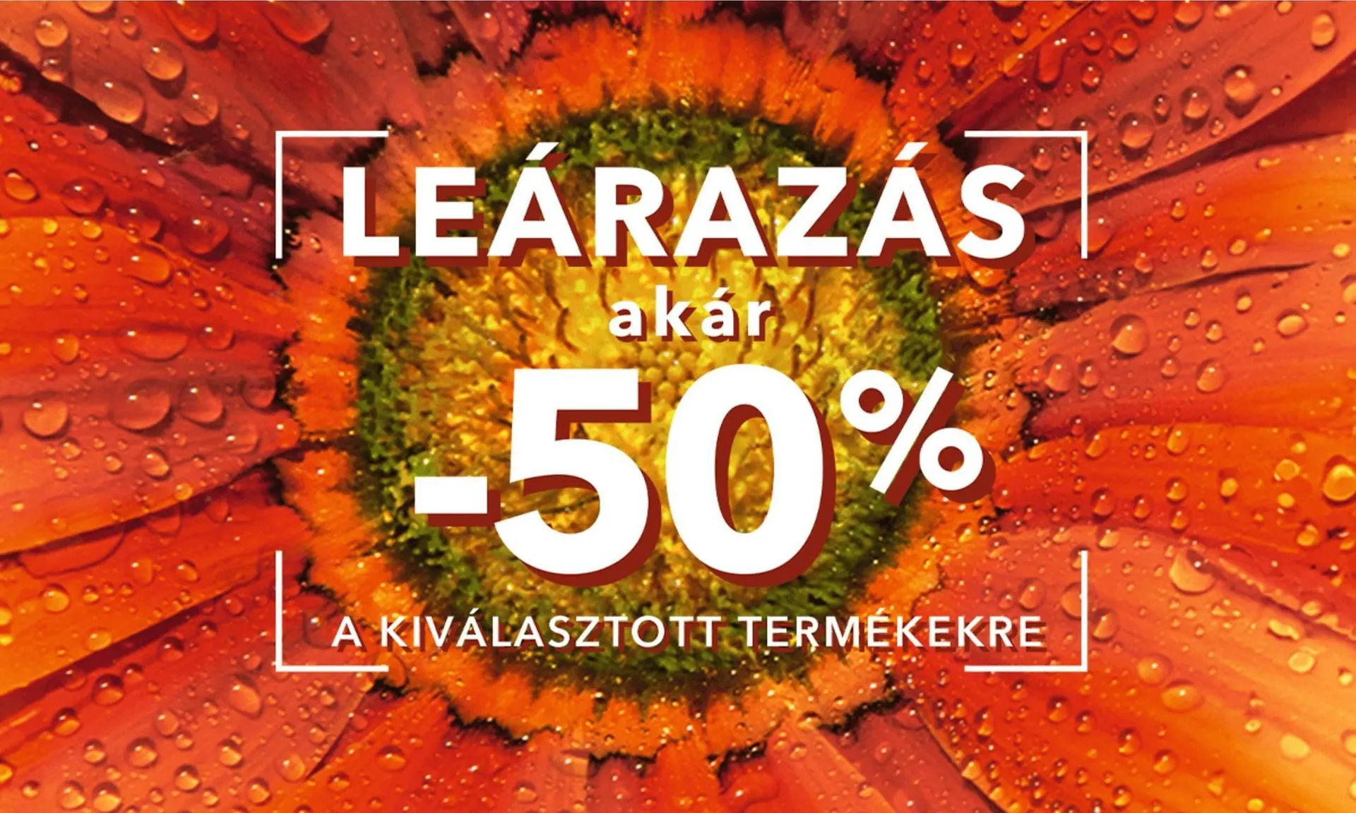 Katalógus Yves Rocher akciós újság június 18.-tól június 24.-ig 2025. - Oldal 2