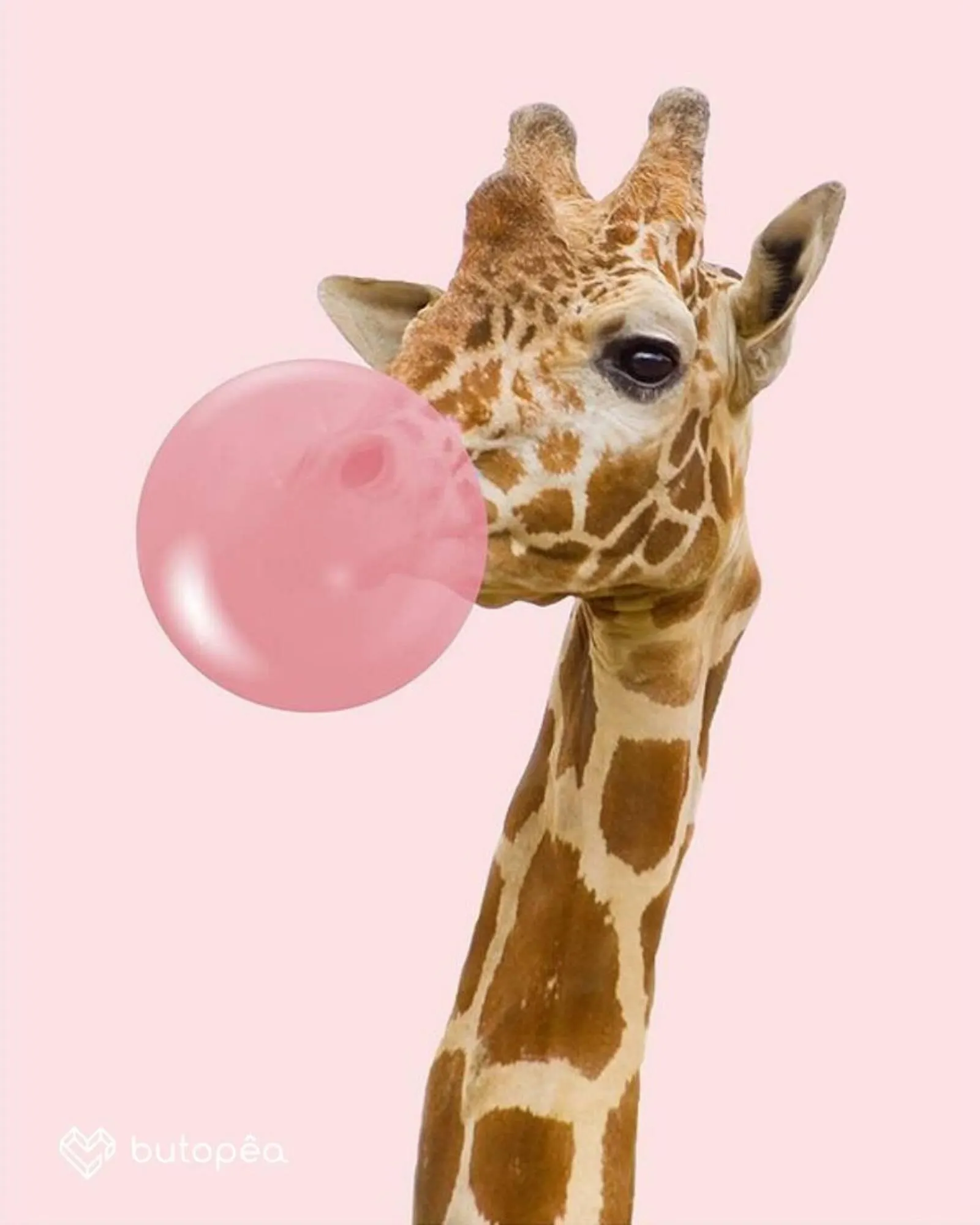 Katalógus Butopea akciós újság március 6.-tól március 18.-ig 2025. - Oldal 6