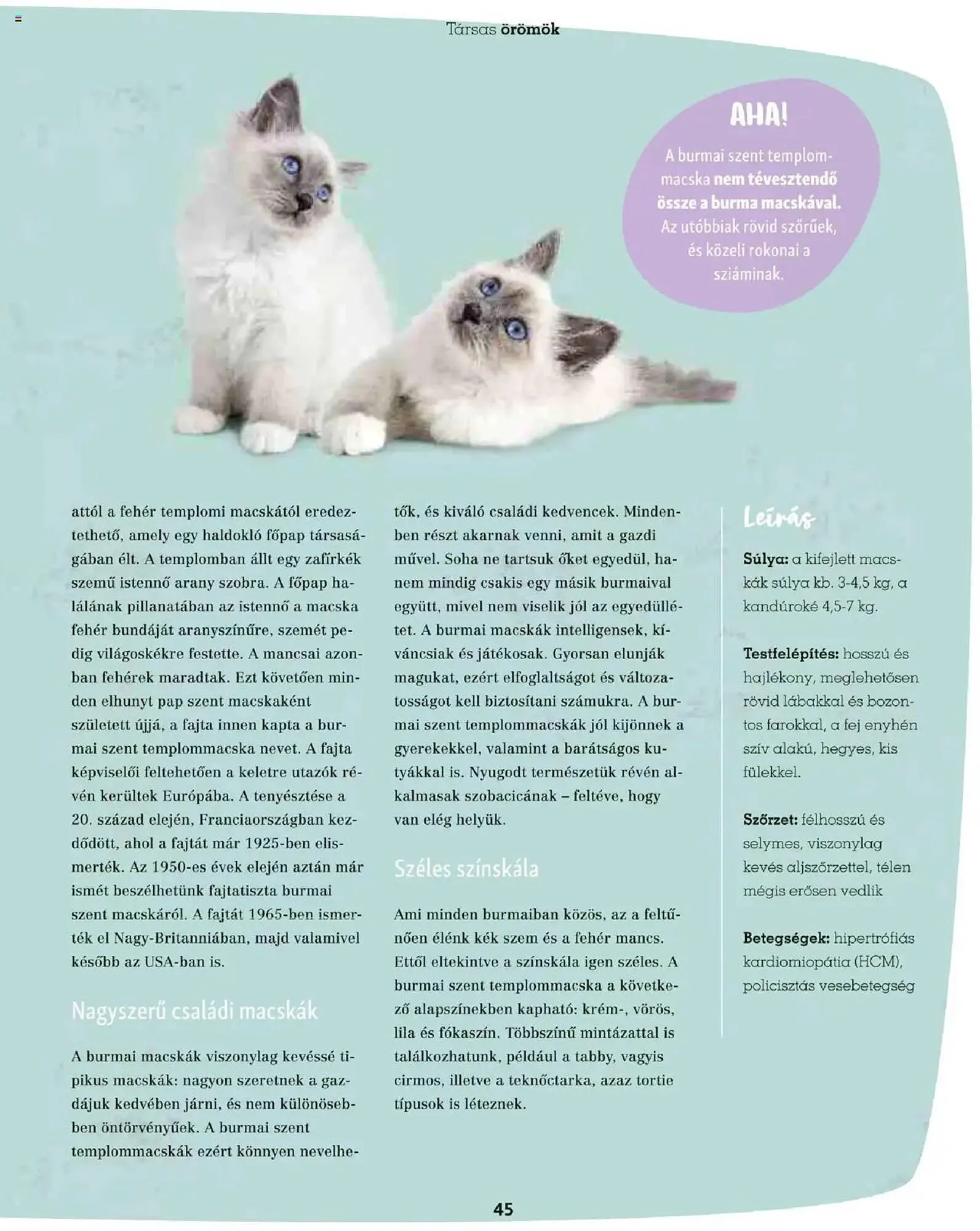 Katalógus Fressnapf akciós újság május 5.-tól május 13.-ig 2025. - Oldal 45