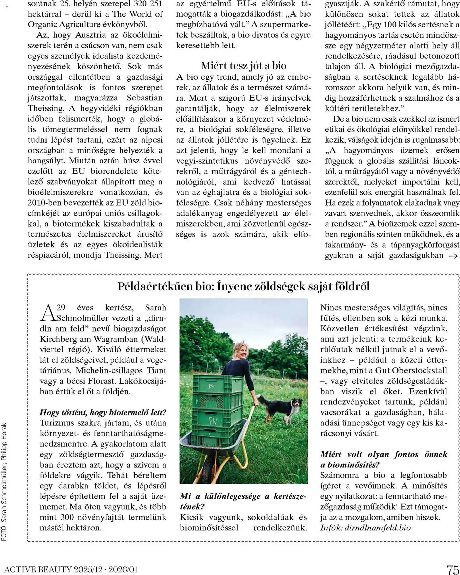 Katalógus DM akciós újság december 18.-tól január 31.-ig 2026. - Oldal 75