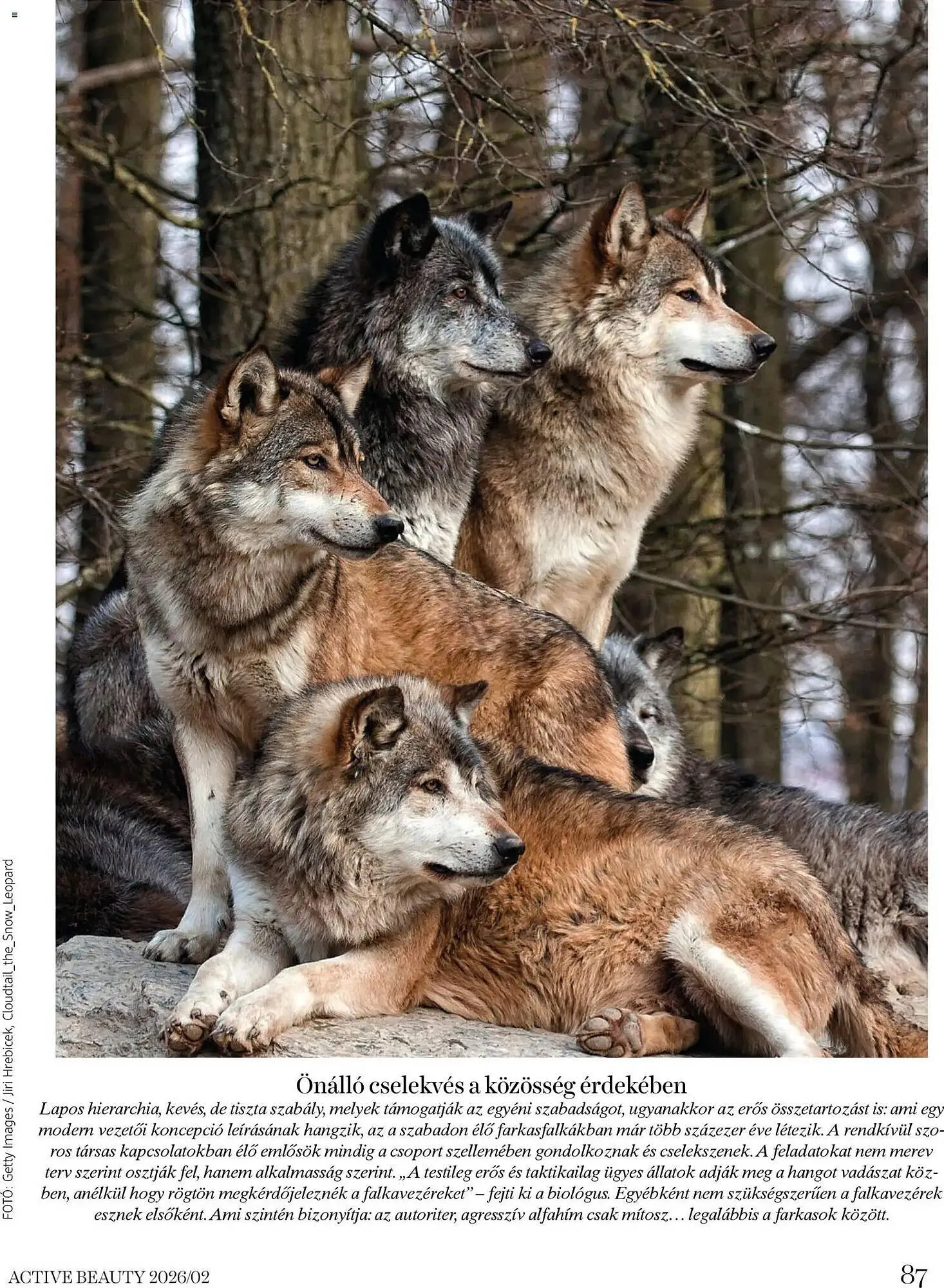 Katalógus DM akciós újság február 6.-tól február 28.-ig 2026. - Oldal 87