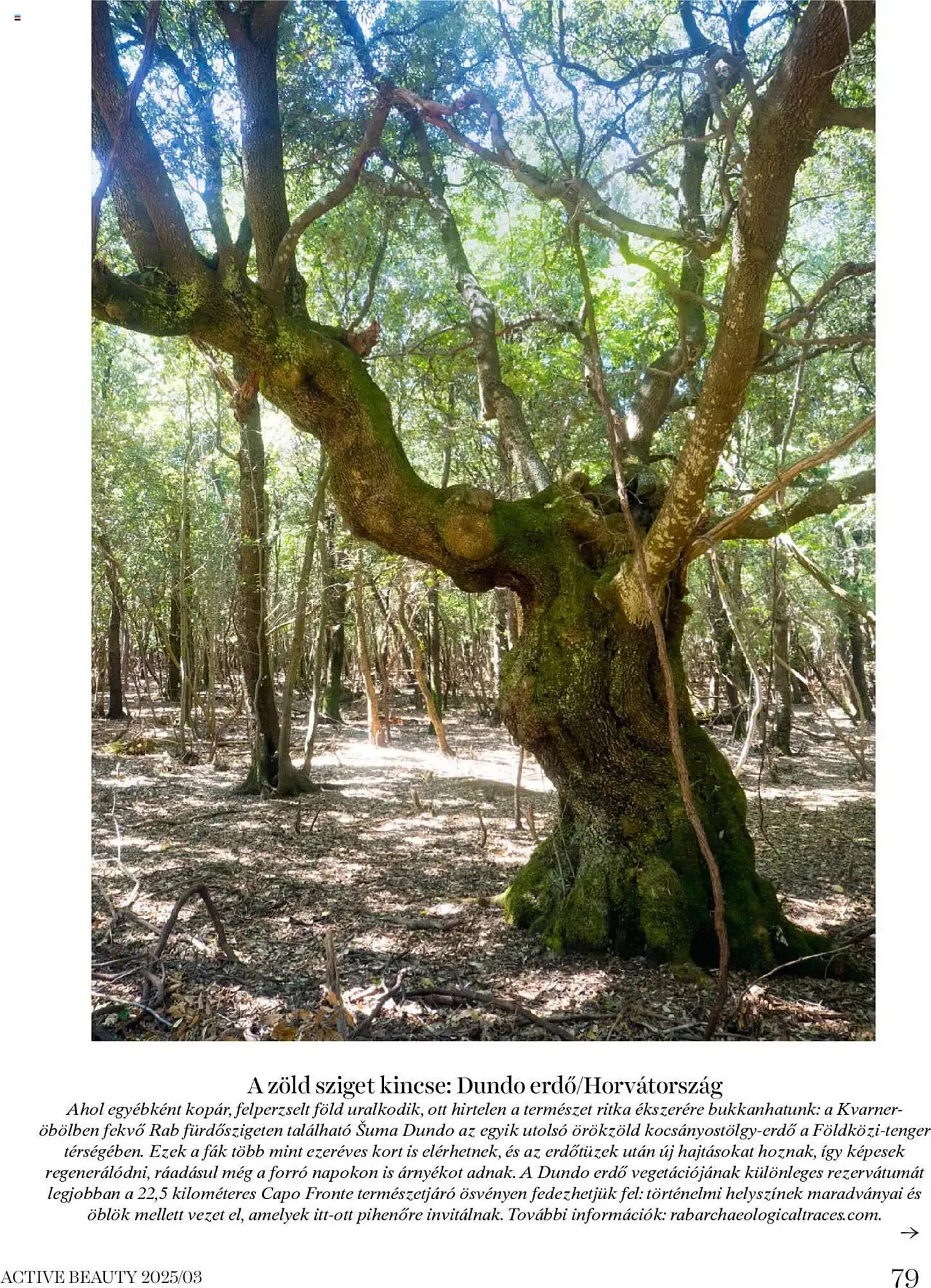 Katalógus DM akciós újság március 20.-tól március 27.-ig 2025. - Oldal 79