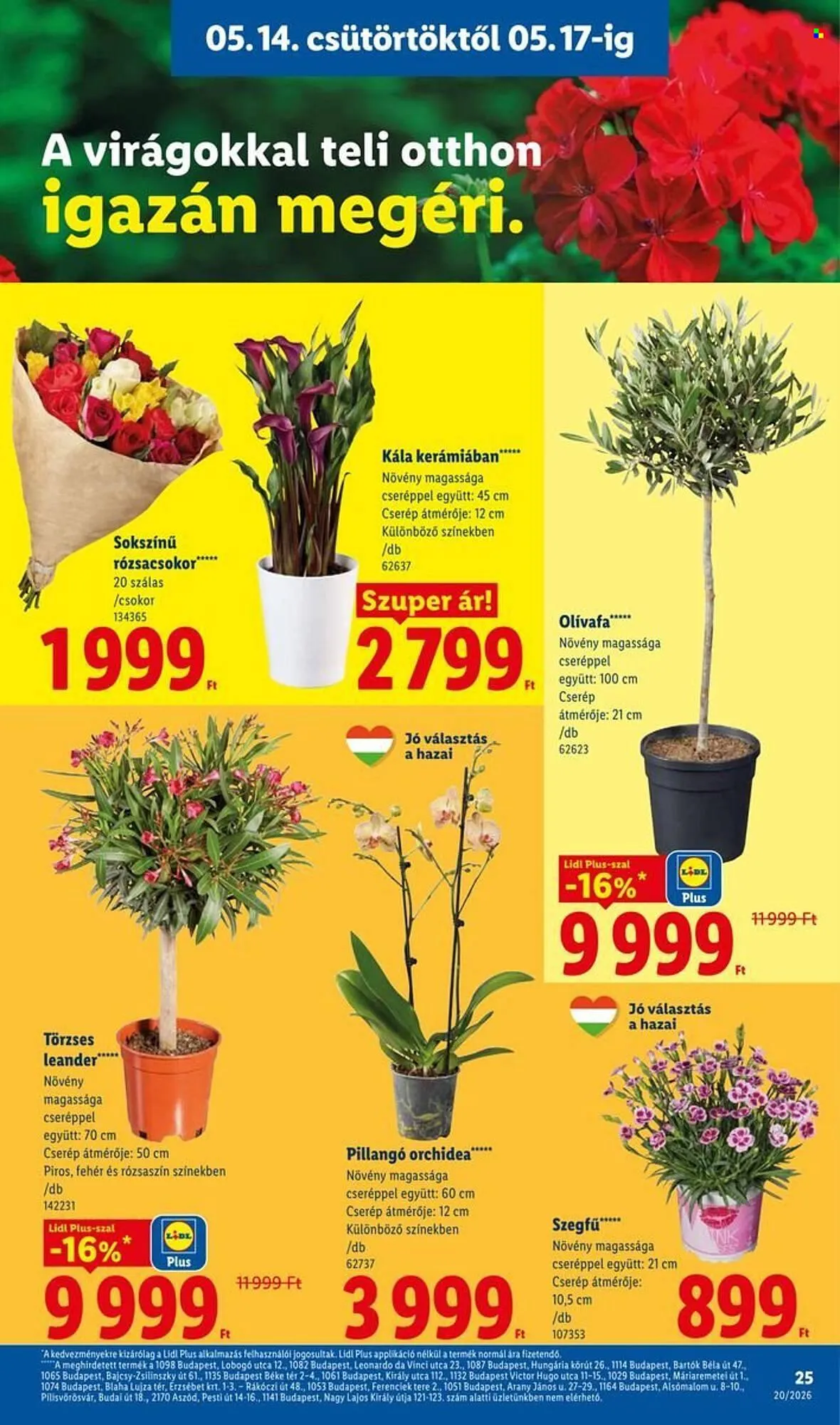 Katalógus Lidl akciós újság május 14.-tól május 20.-ig 2026. - Oldal 25