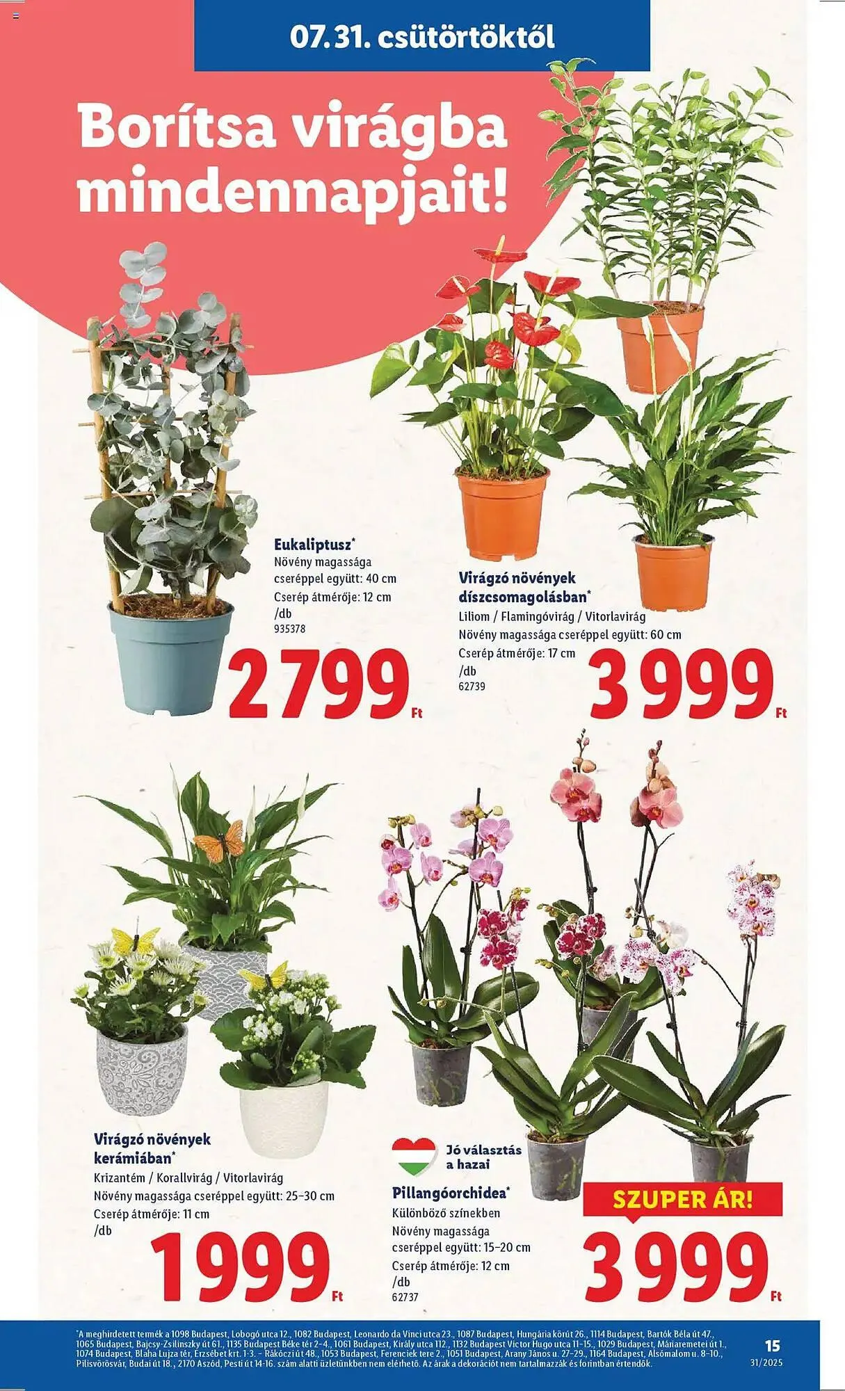 Katalógus Lidl akciós újság július 31.-tól augusztus 6.-ig 2025. - Oldal 15