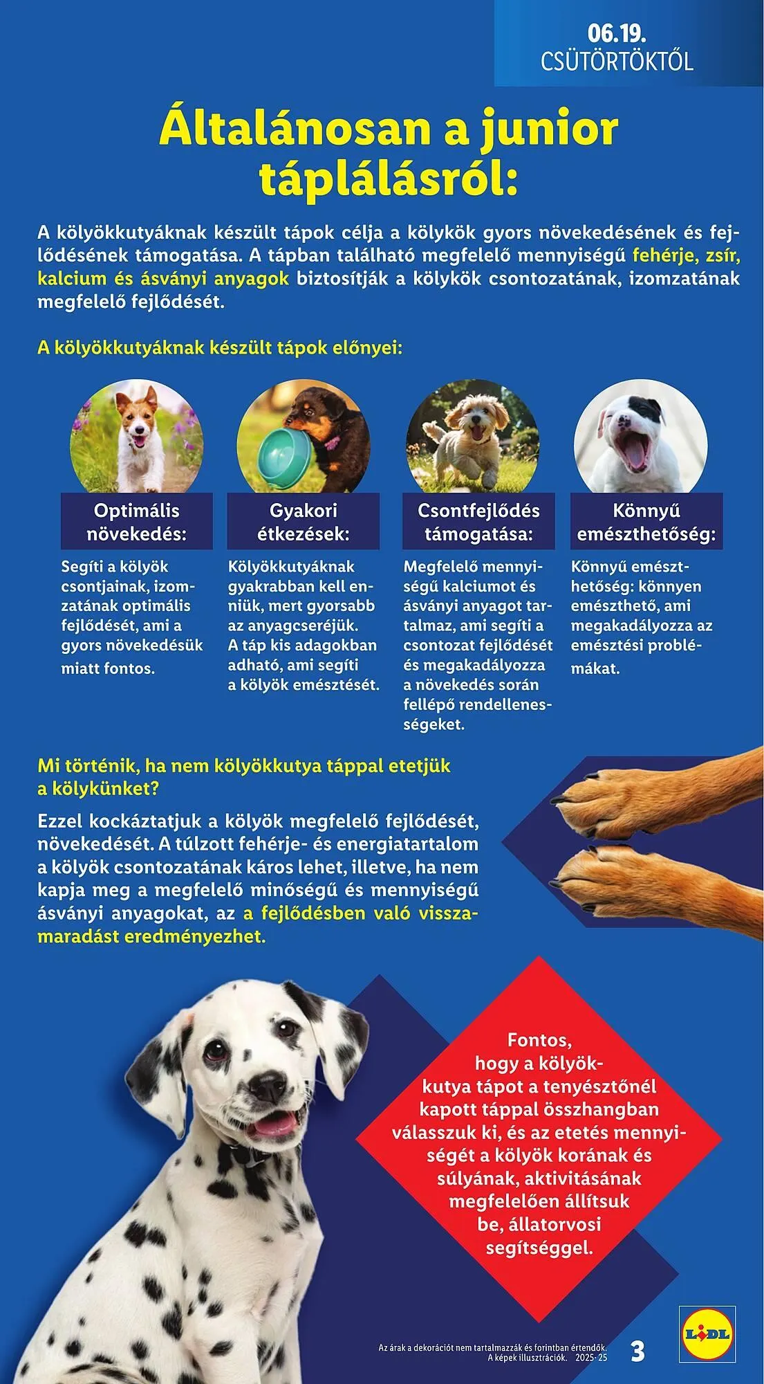 Katalógus Lidl akciós újság június 19.-tól július 9.-ig 2025. - Oldal 3