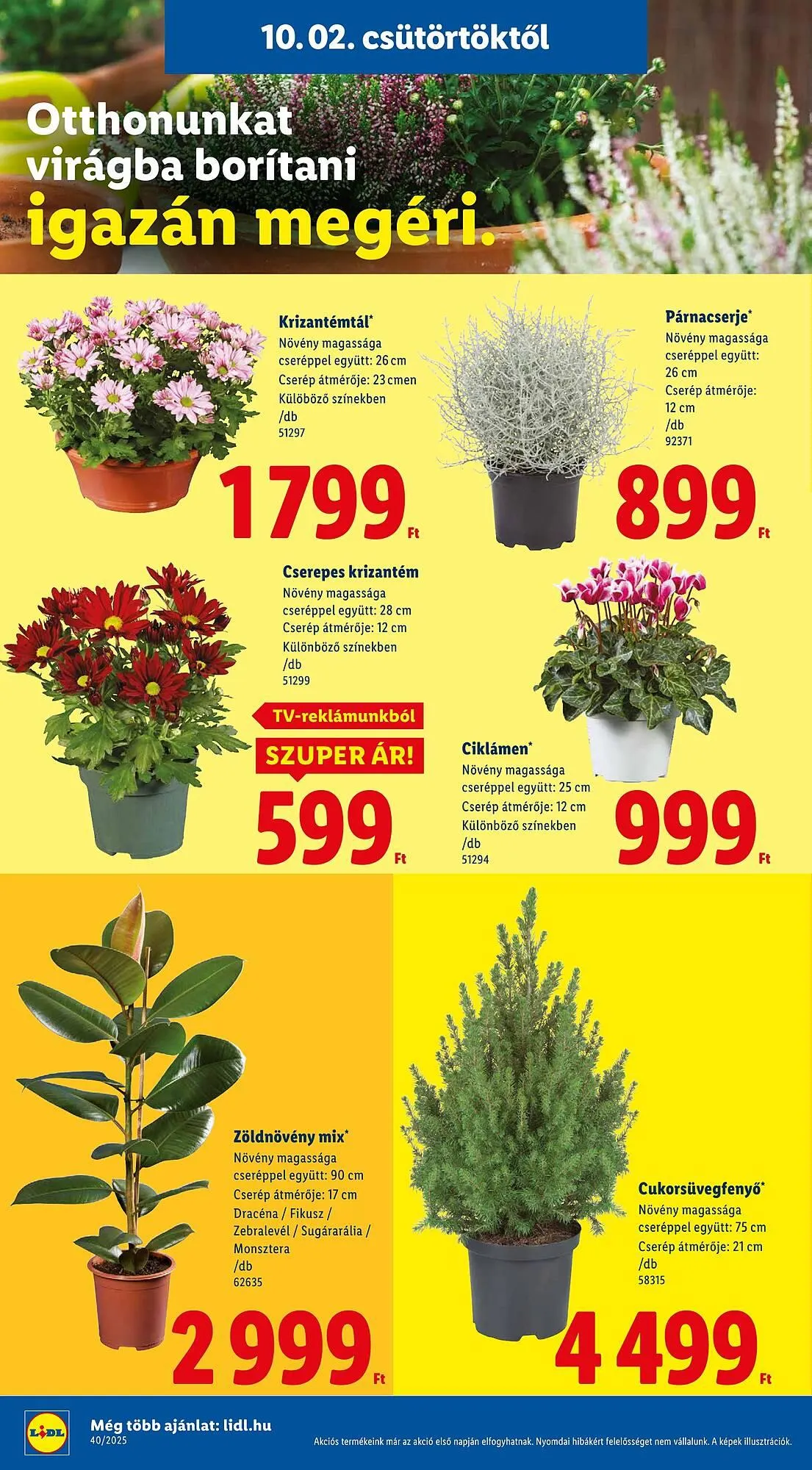 Katalógus Lidl akciós újság október 2.-tól október 8.-ig 2025. - Oldal 26