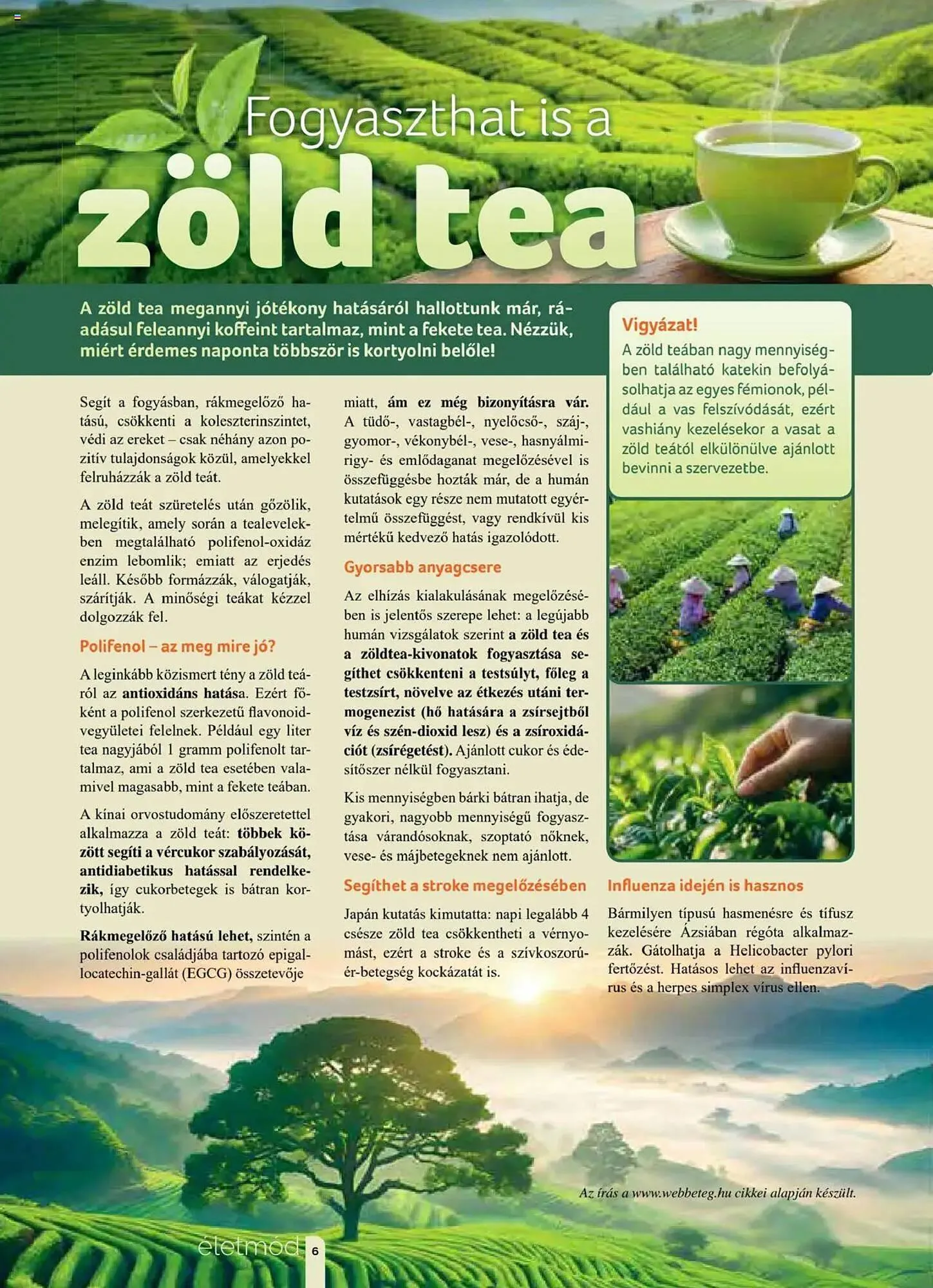 Katalógus Pingvin Patika akciós újság június 1.-tól június 30.-ig 2025. - Oldal 6