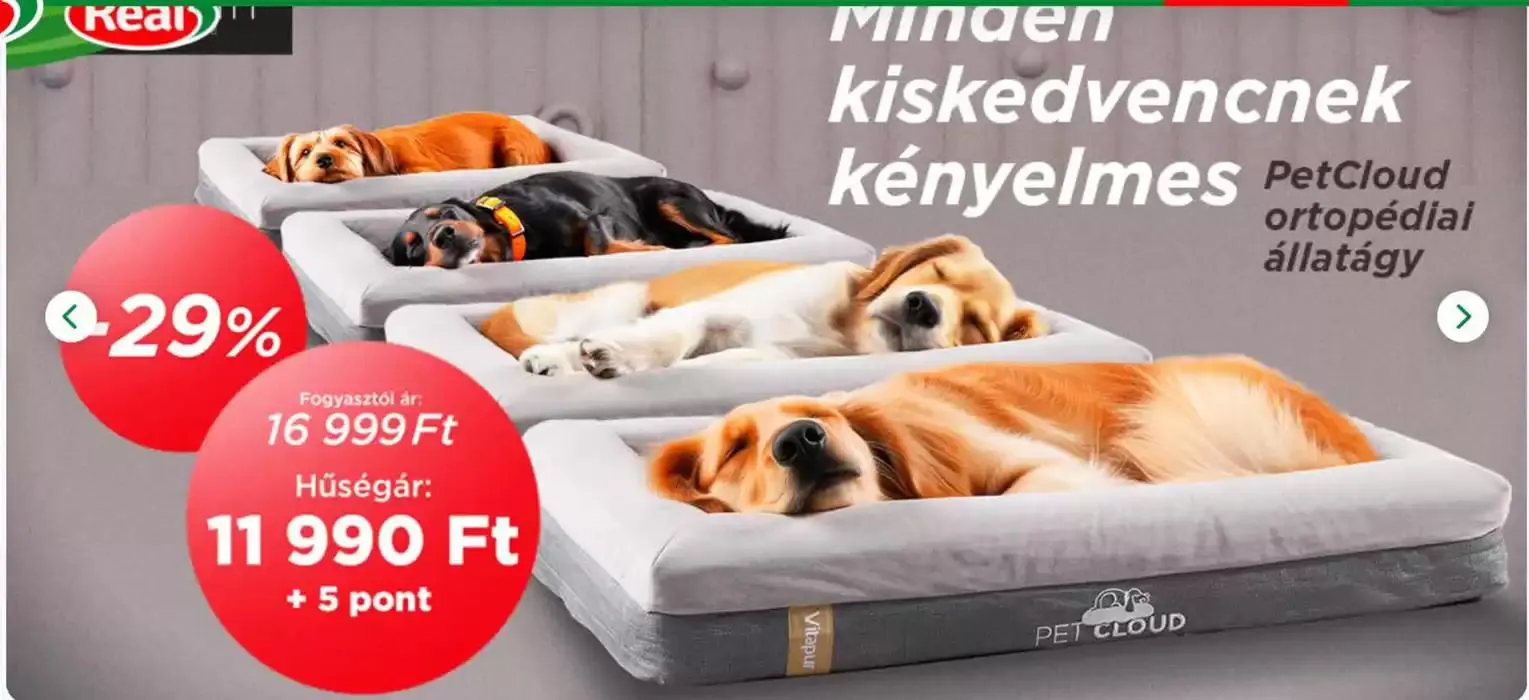 Katalógus Legyen tiéd az otthon kényelme karácsonyra! január 3.-tól január 17.-ig 2025. - Oldal 3