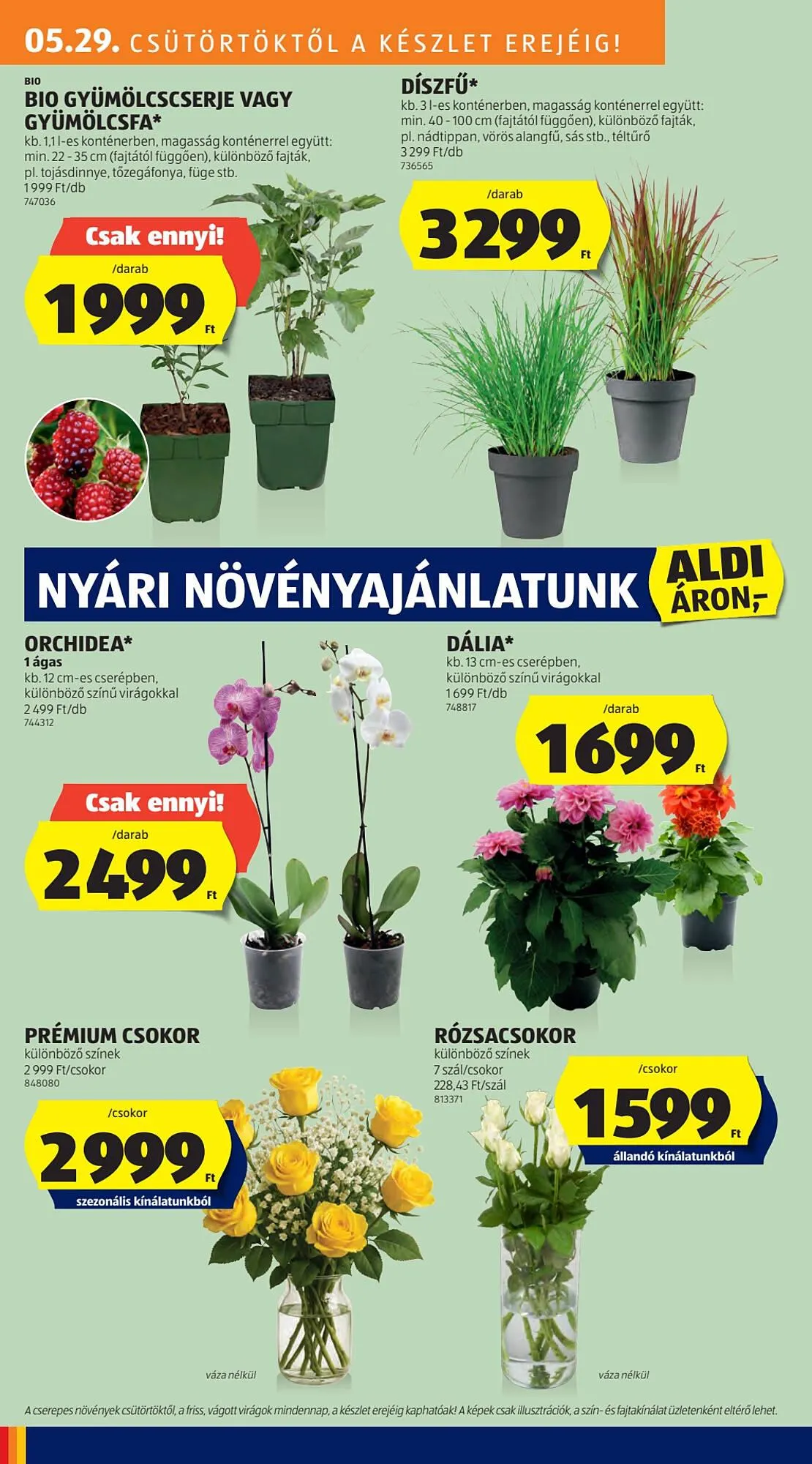 Katalógus ALDI akciós újság május 25.-tól június 16.-ig 2025. - Oldal 10