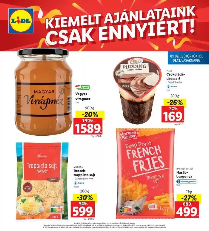 Katalógus Érvényes 01.09-től január 9.-tól január 12.-ig 2025. - Oldal 4