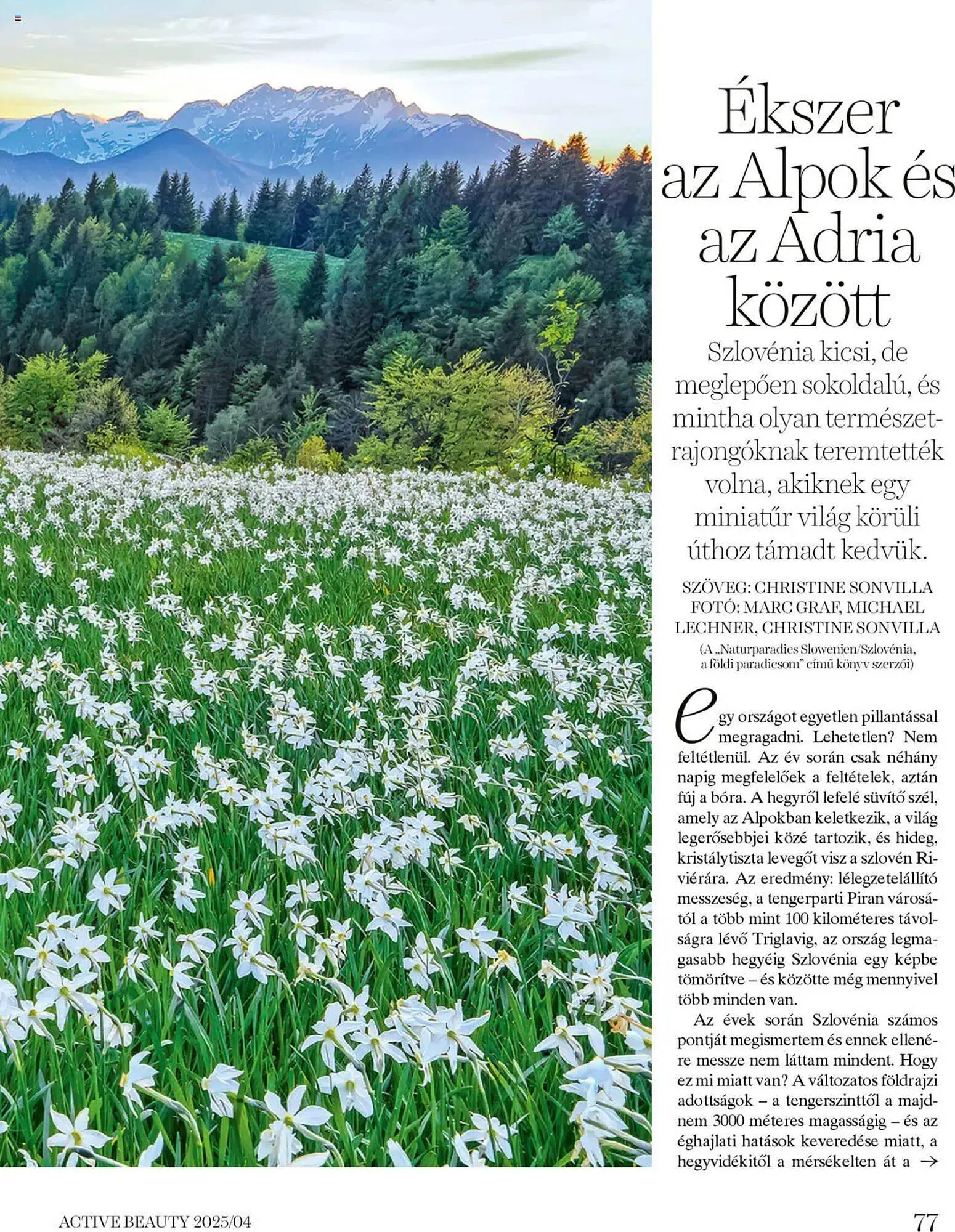 Katalógus DM akciós újság április 16.-tól április 24.-ig 2025. - Oldal 77