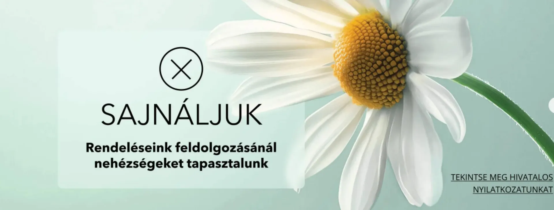 Katalógus Yves Rocher akciós újság július 8.-tól július 14.-ig 2025. - Oldal 1