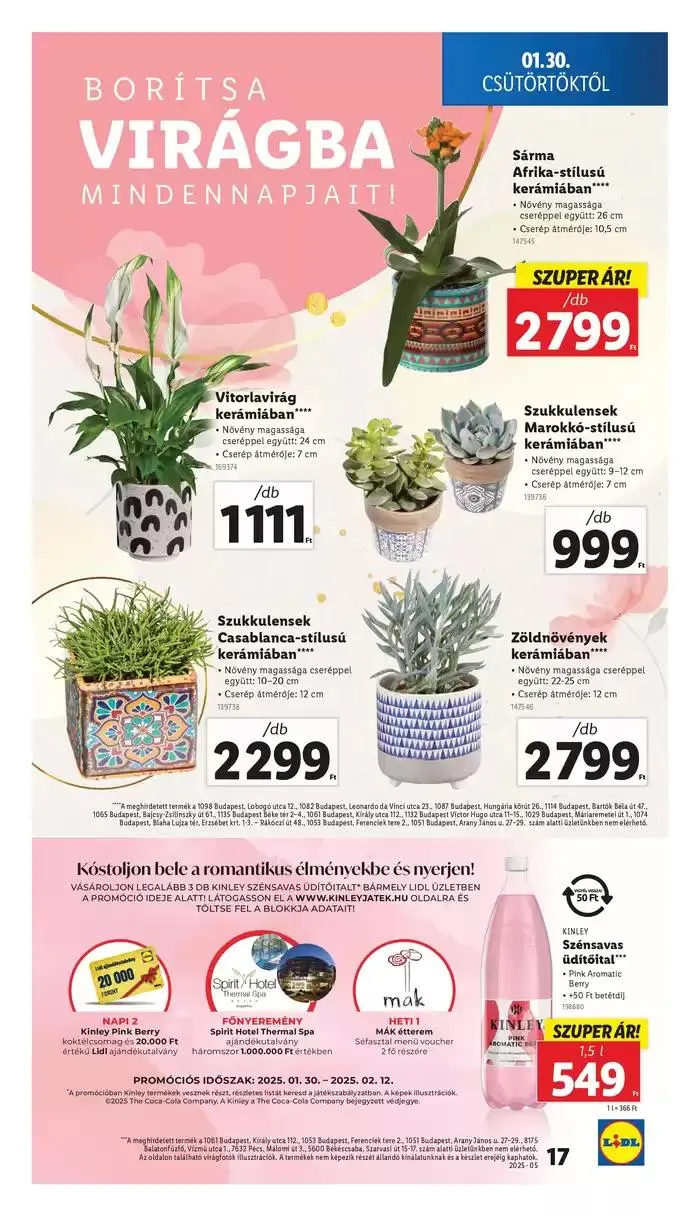 Katalógus Akciós újság – 05. hét január 30.-tól február 5.-ig 2025. - Oldal 17