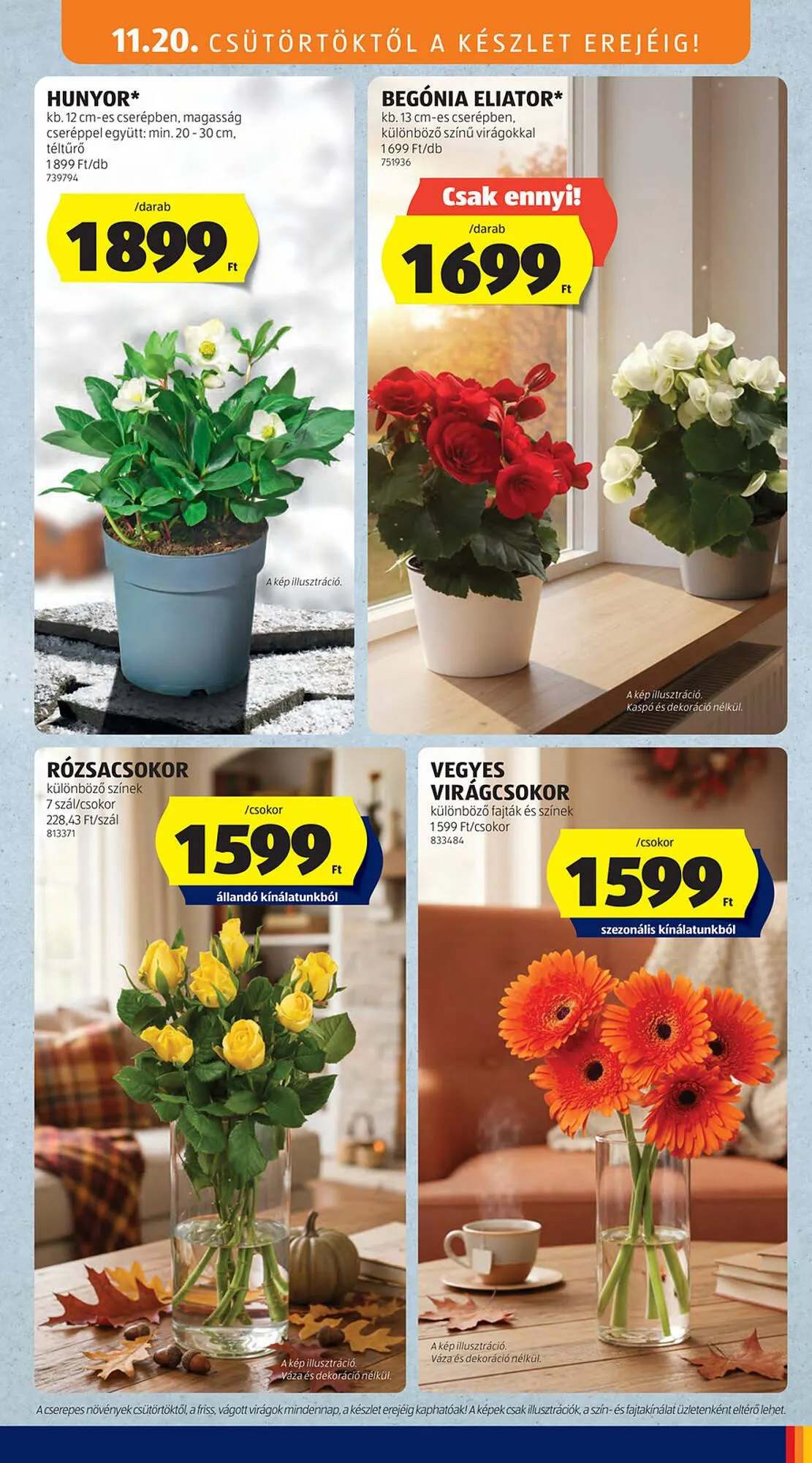 Katalógus ALDI akciós újság november 20.-tól november 26.-ig 2025. - Oldal 31