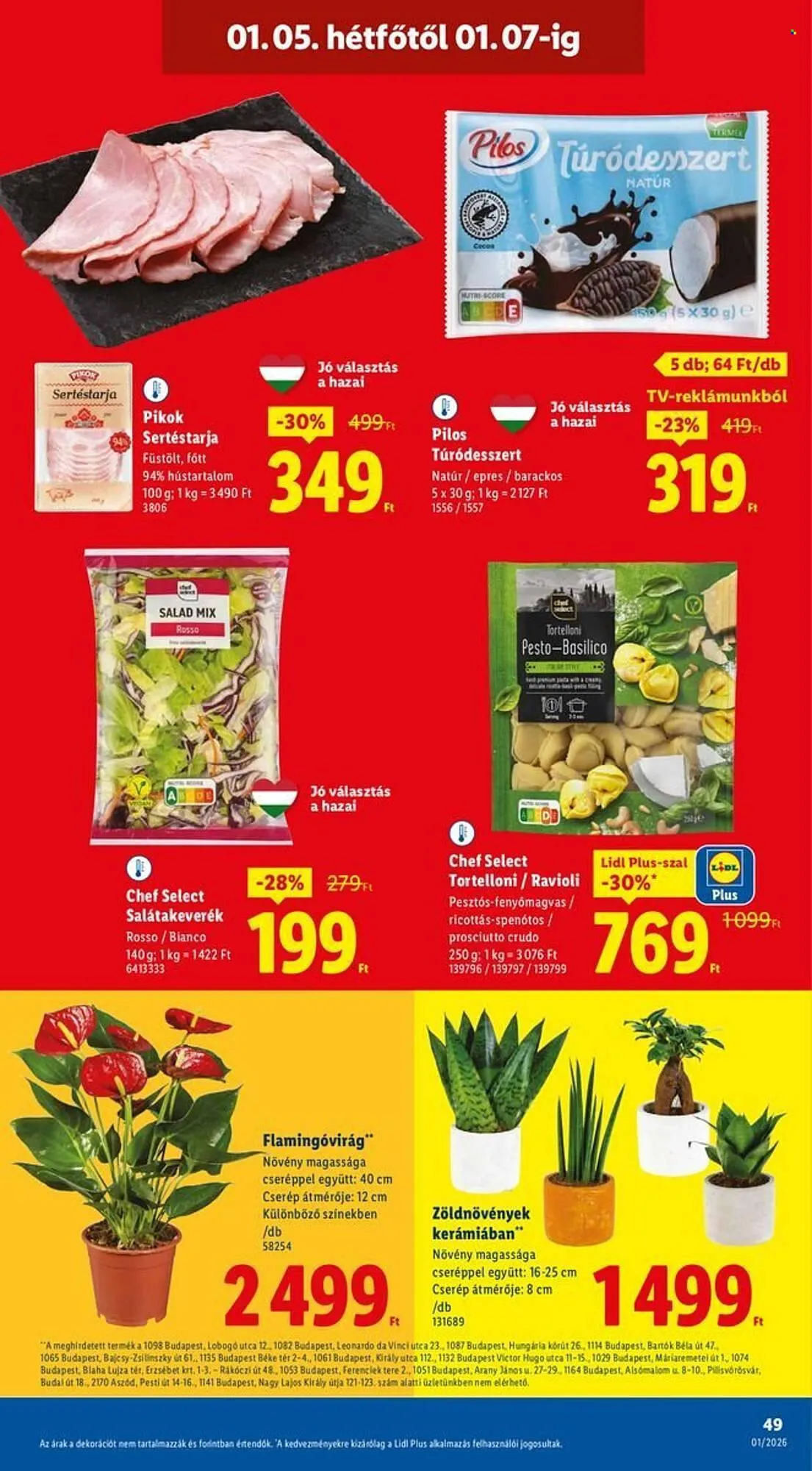 Katalógus Lidl akciós újság január 2.-tól január 7.-ig 2026. - Oldal 49