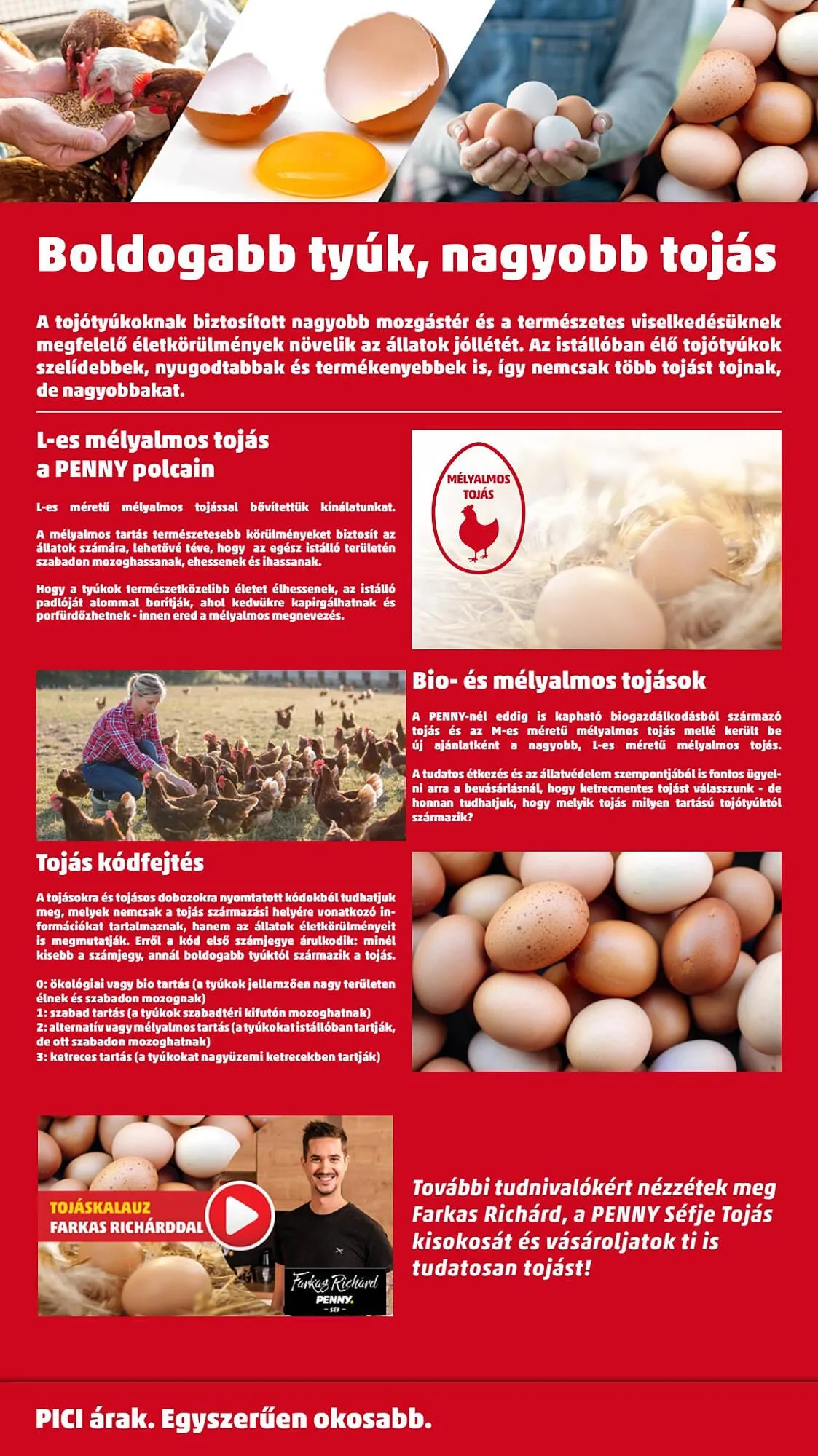 Katalógus PENNY akciós újság november 20.-tól november 26.-ig 2025. - Oldal 42