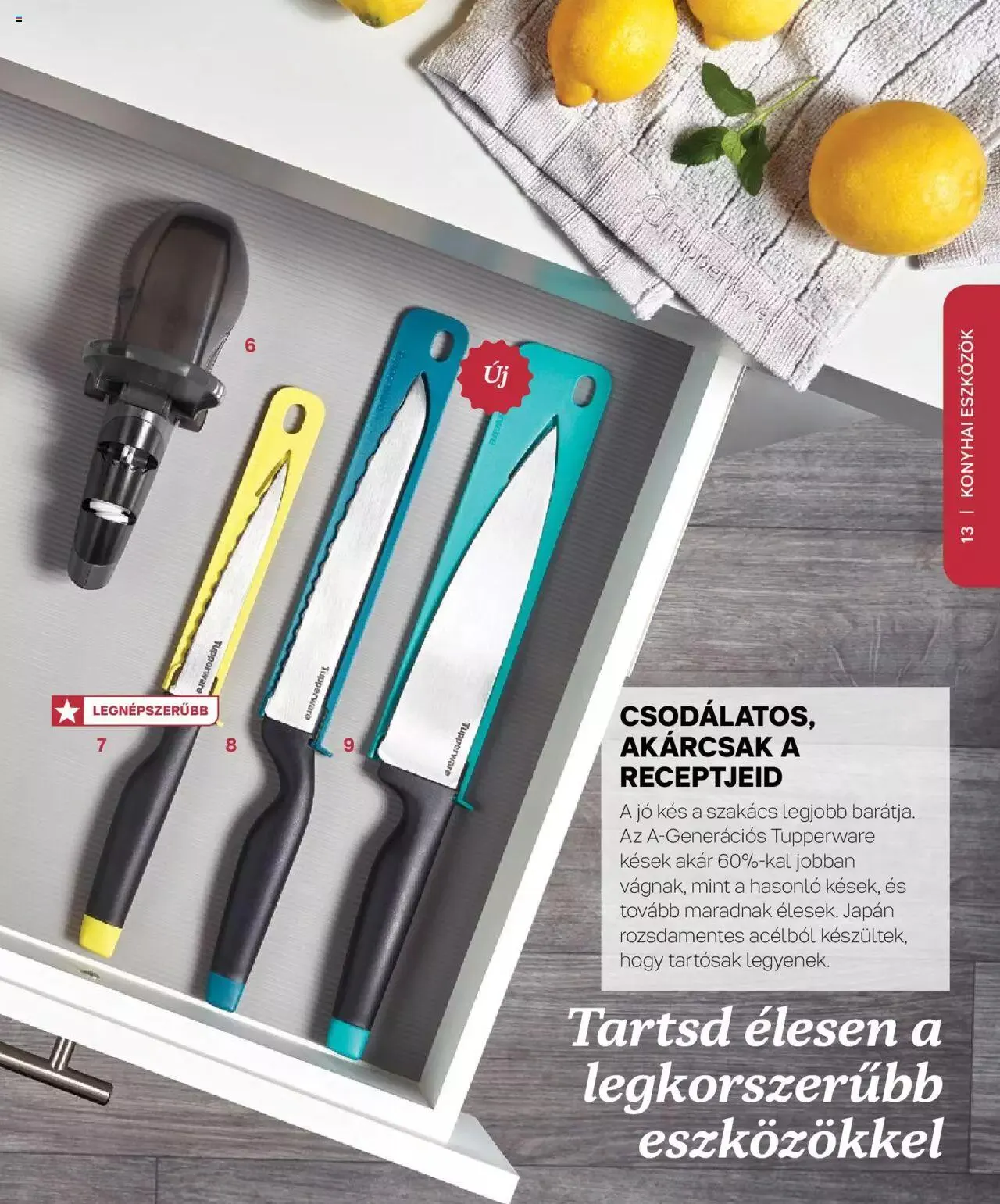 Katalógus Tupperware - Aktuális katalógus augusztus 30.-tól december 31.-ig 2023. - Oldal 13