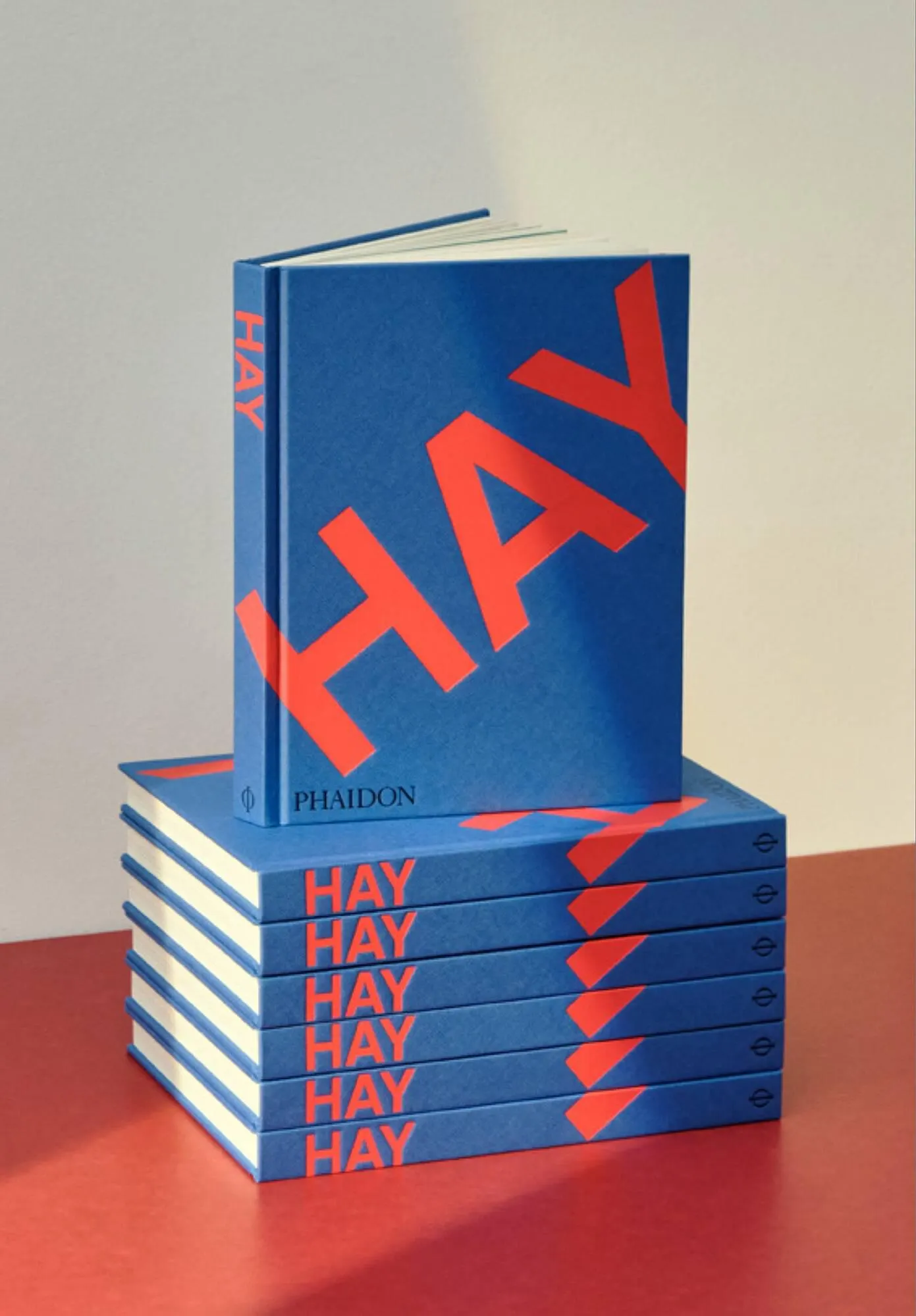 Katalógus HAY HAY Brand Book akciós újság január 19.-tól december 31.-ig 2024. - Oldal 38