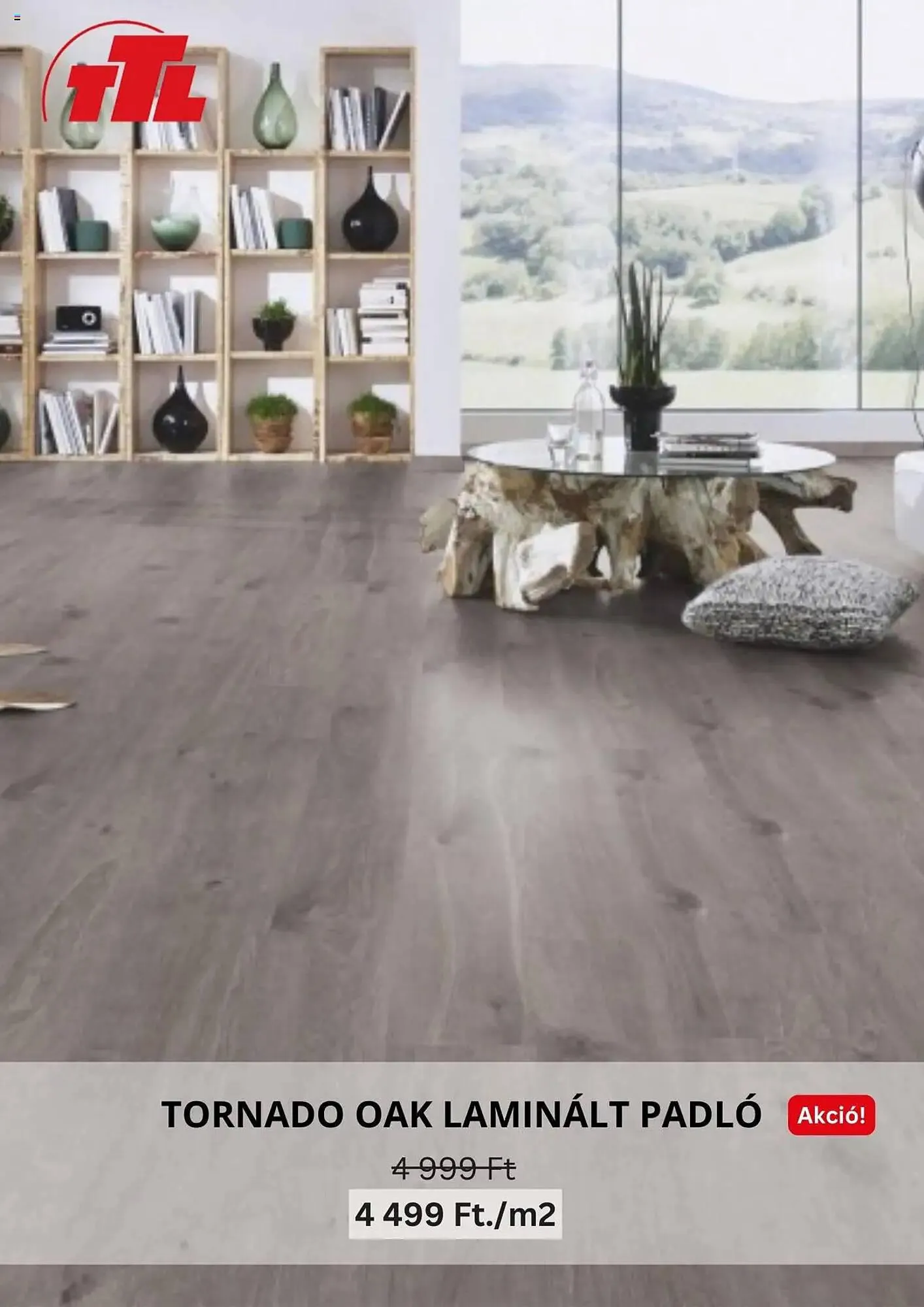 Katalógus TTL akciós újság január 6.-tól február 12.-ig 2025. - Oldal 9