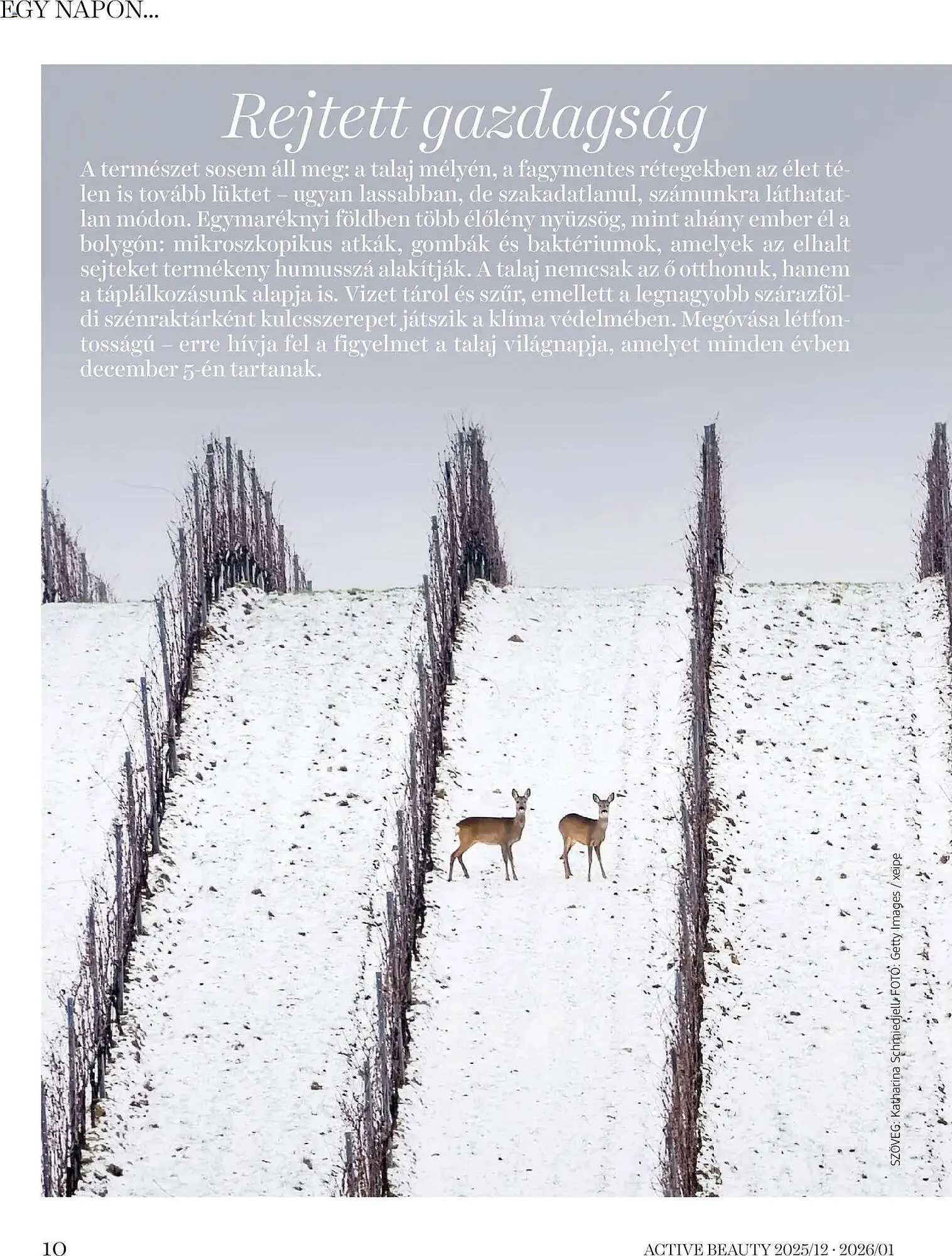 Katalógus DM akciós újság december 18.-tól január 31.-ig 2026. - Oldal 10