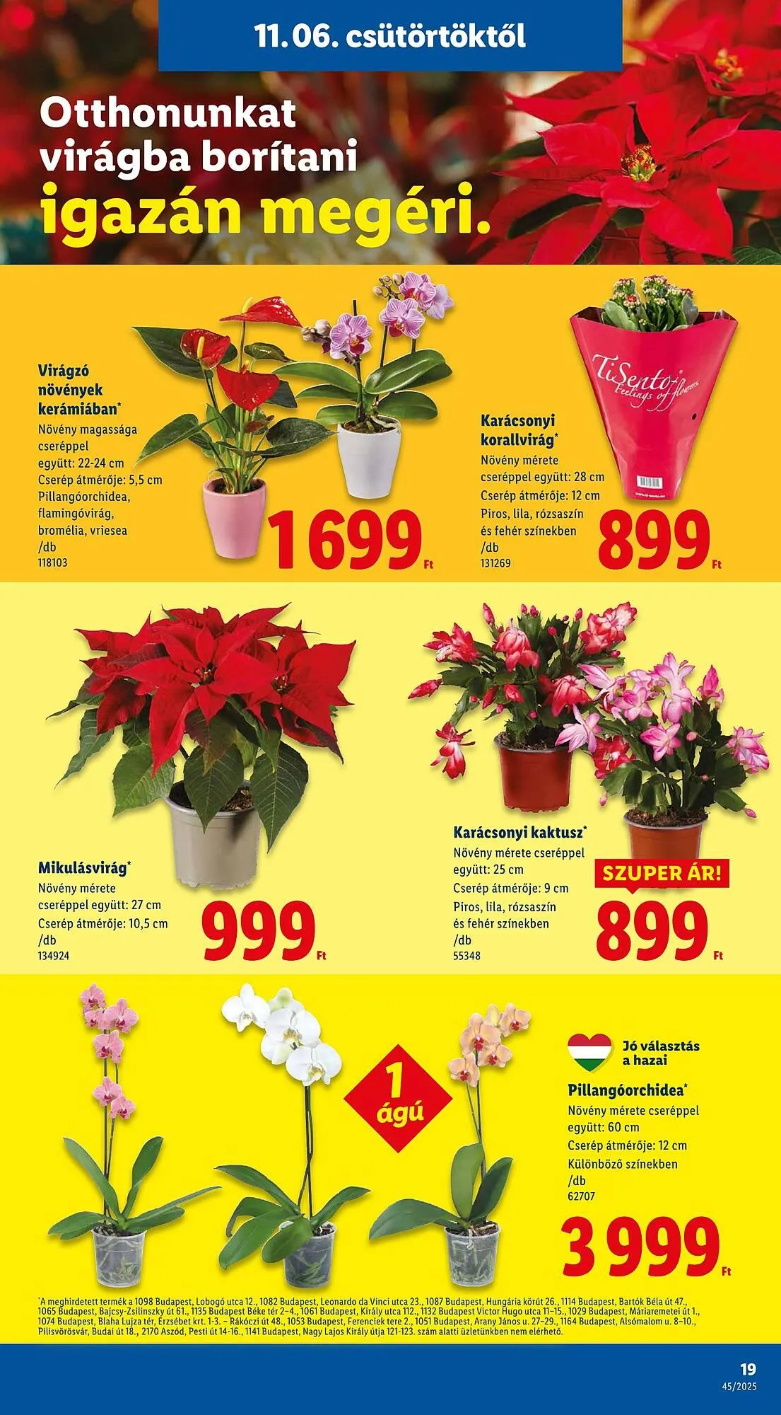 Katalógus Lidl akciós újság november 6.-tól november 12.-ig 2025. - Oldal 19