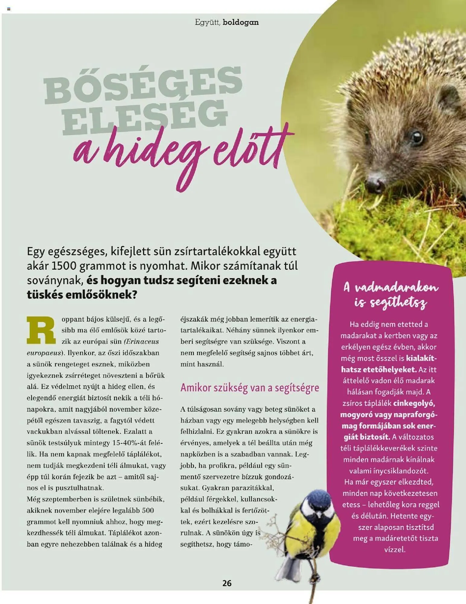 Katalógus Fressnapf akciós újság szeptember 25.-tól november 30.-ig 2023. - Oldal 26