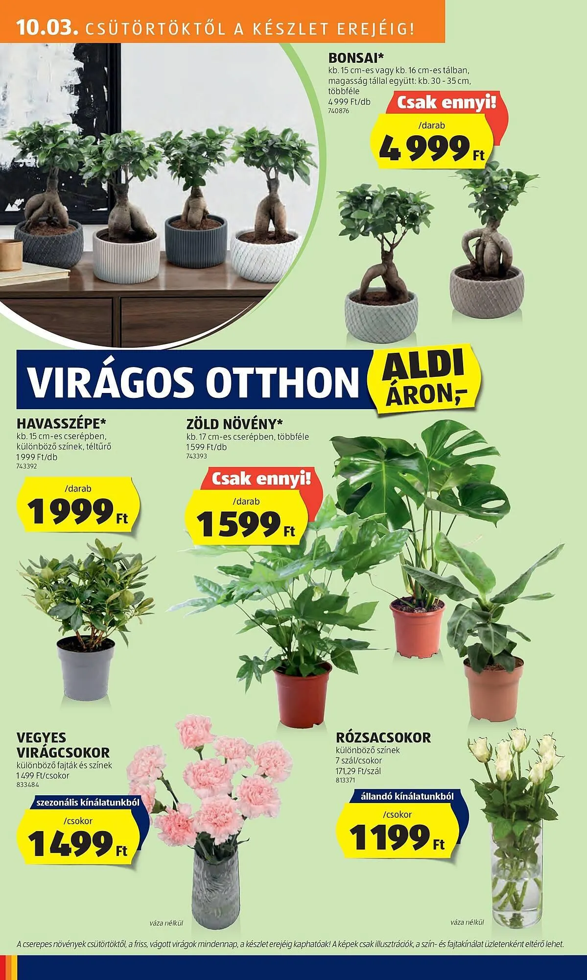 Katalógus ALDI akciós újság október 3.-tól október 9.-ig 2024. - Oldal 26