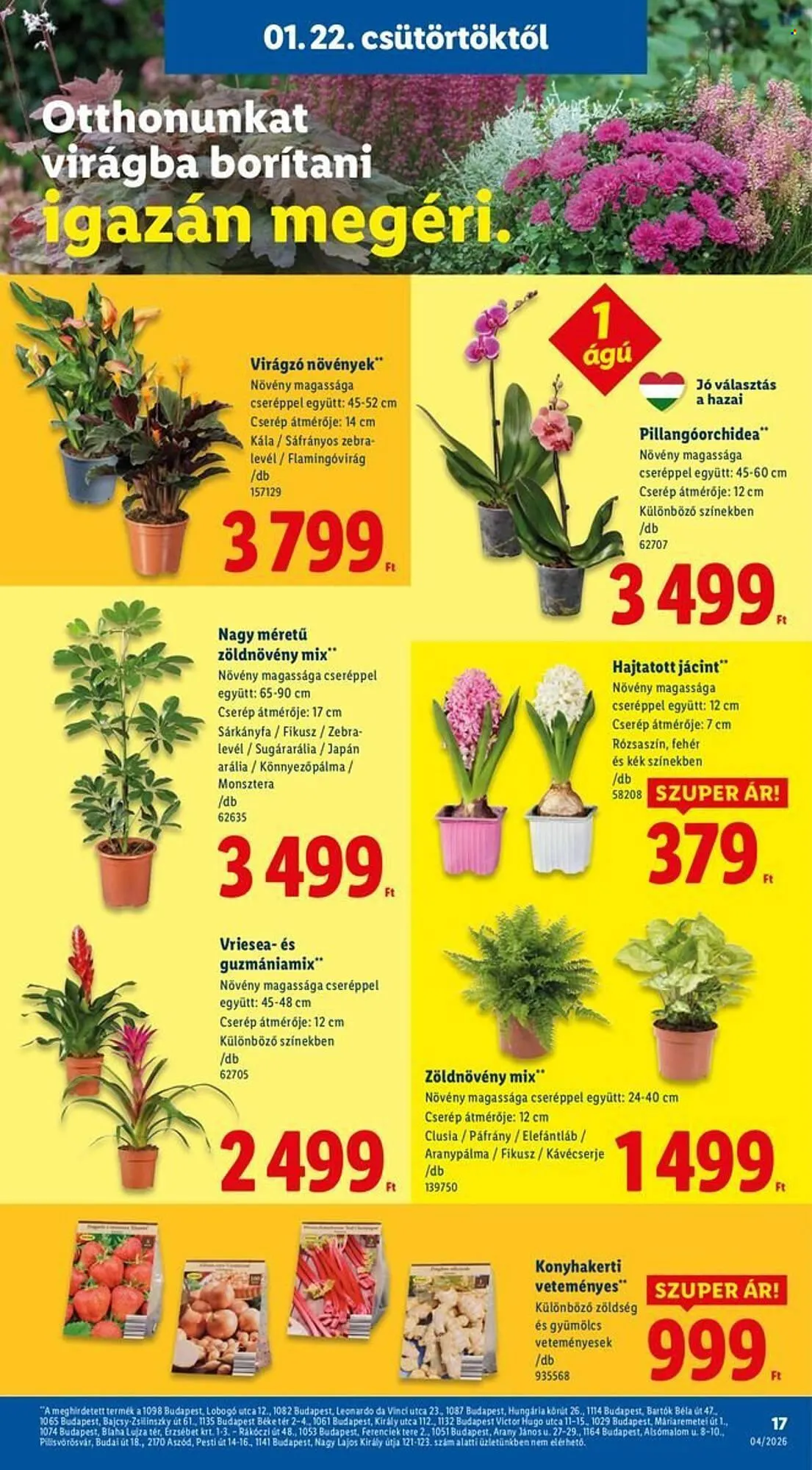 Katalógus Lidl akciós újság január 22.-tól január 28.-ig 2026. - Oldal 17