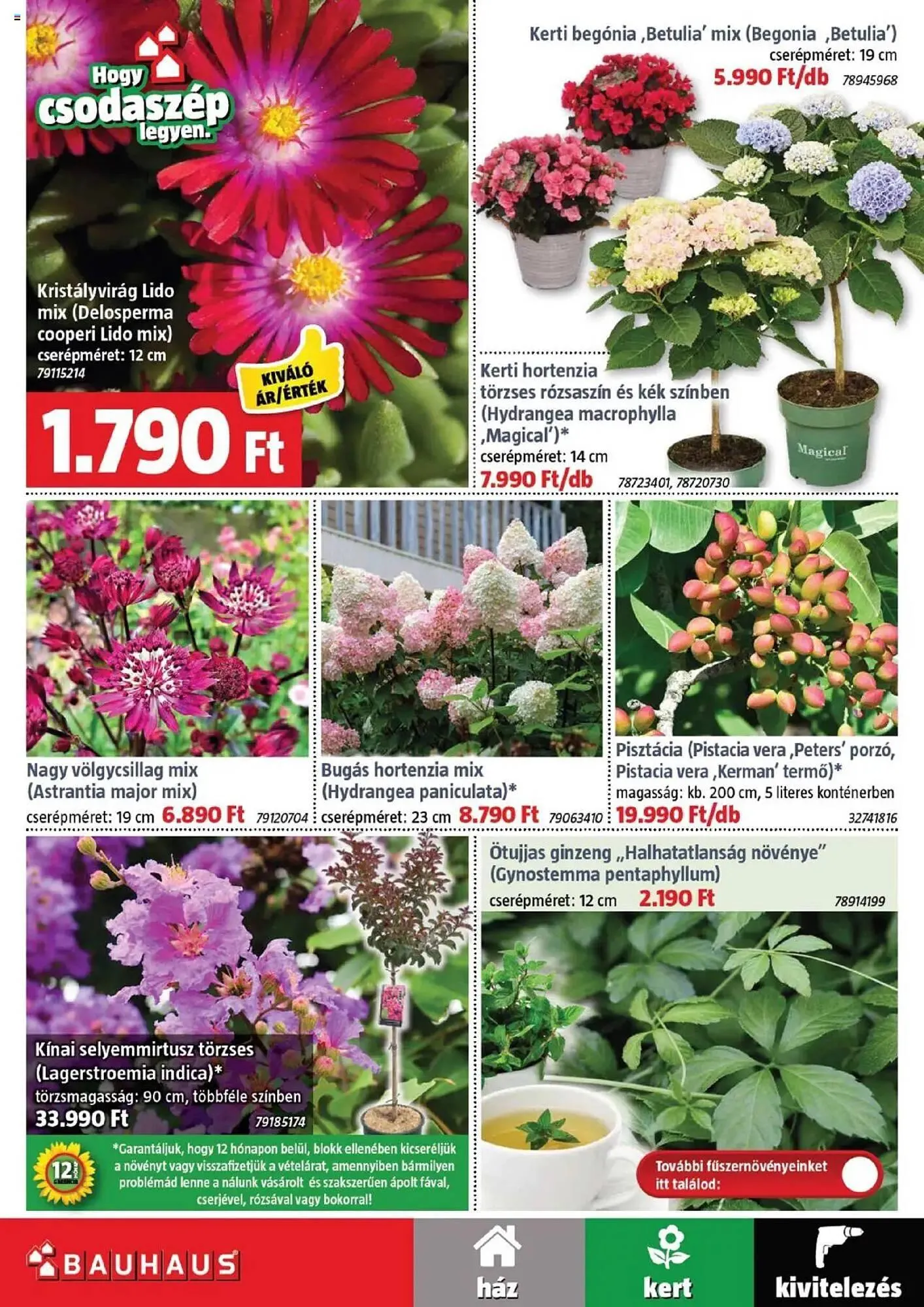 Katalógus Bauhaus akciós újság július 3.-tól augusztus 5.-ig 2025. - Oldal 2