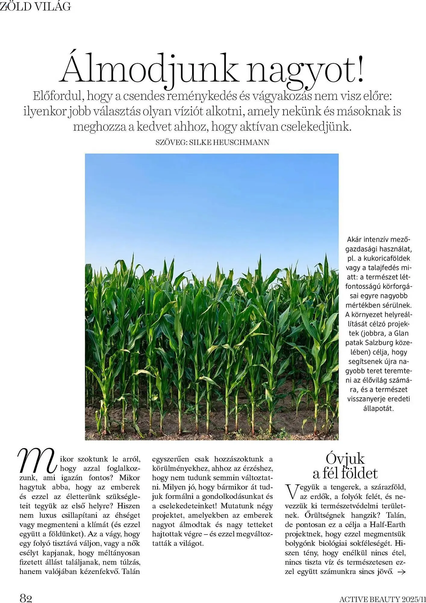 Katalógus DM akciós újság november 13.-tól november 30.-ig 2025. - Oldal 82