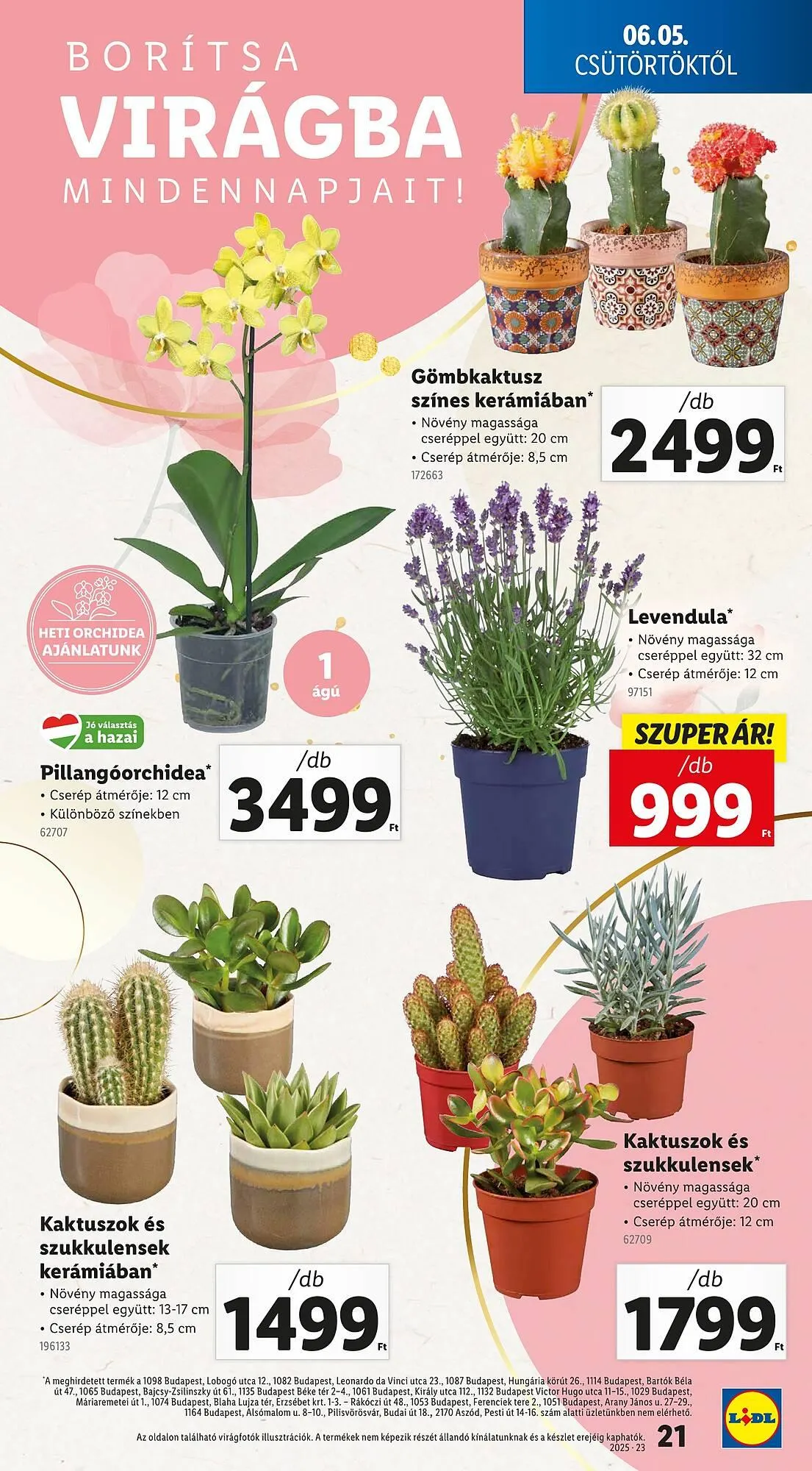 Katalógus Lidl akciós újság június 5.-tól június 11.-ig 2025. - Oldal 21