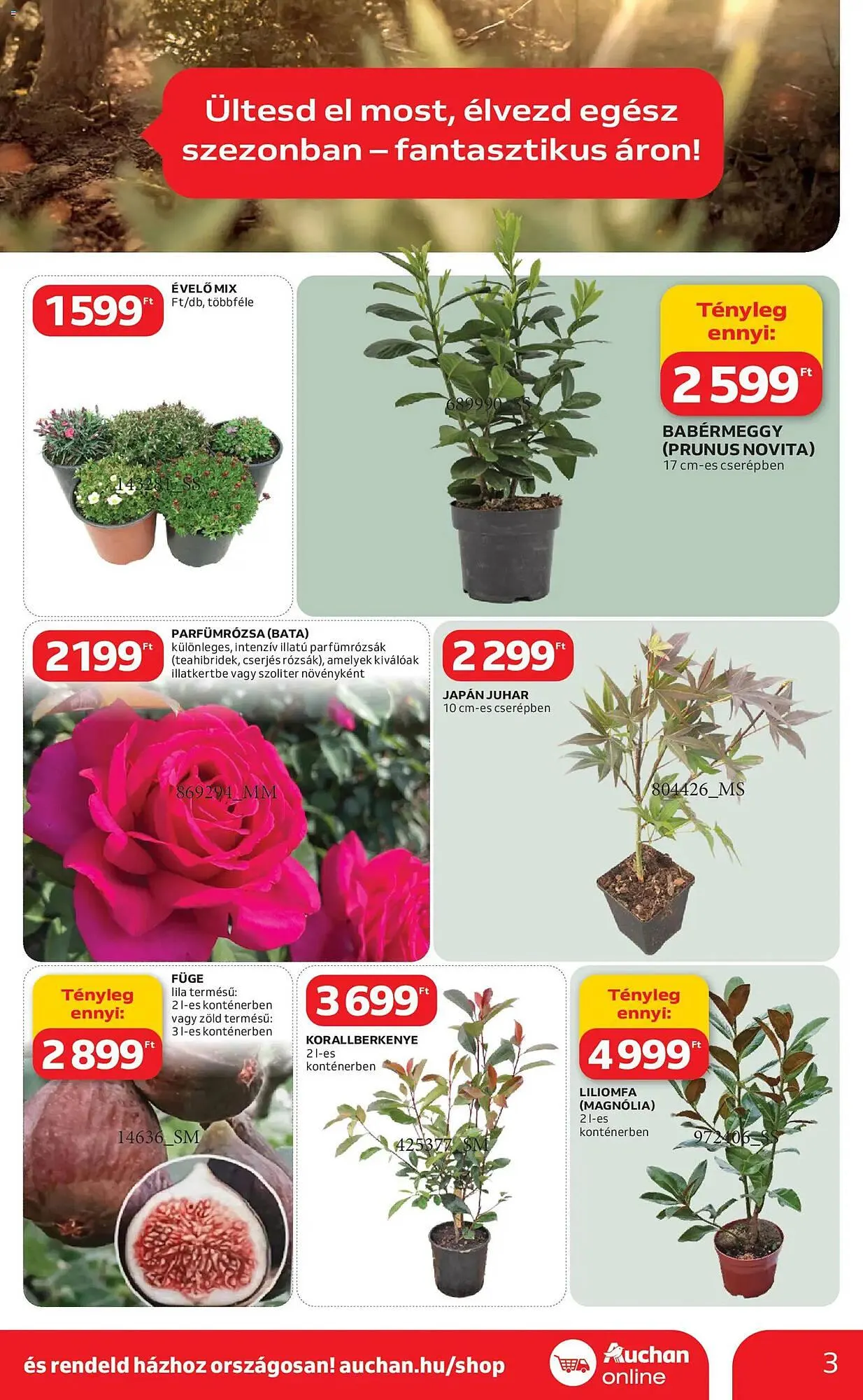 Katalógus Auchan akciós újság március 5.-tól április 4.-ig 2026. - Oldal 3