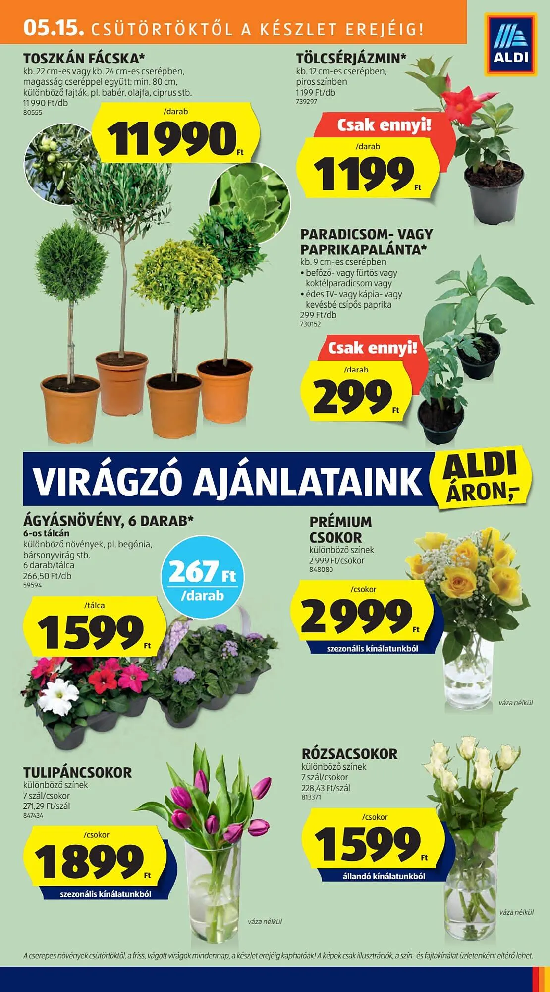 Katalógus ALDI akciós újság május 15.-tól május 21.-ig 2025. - Oldal 25