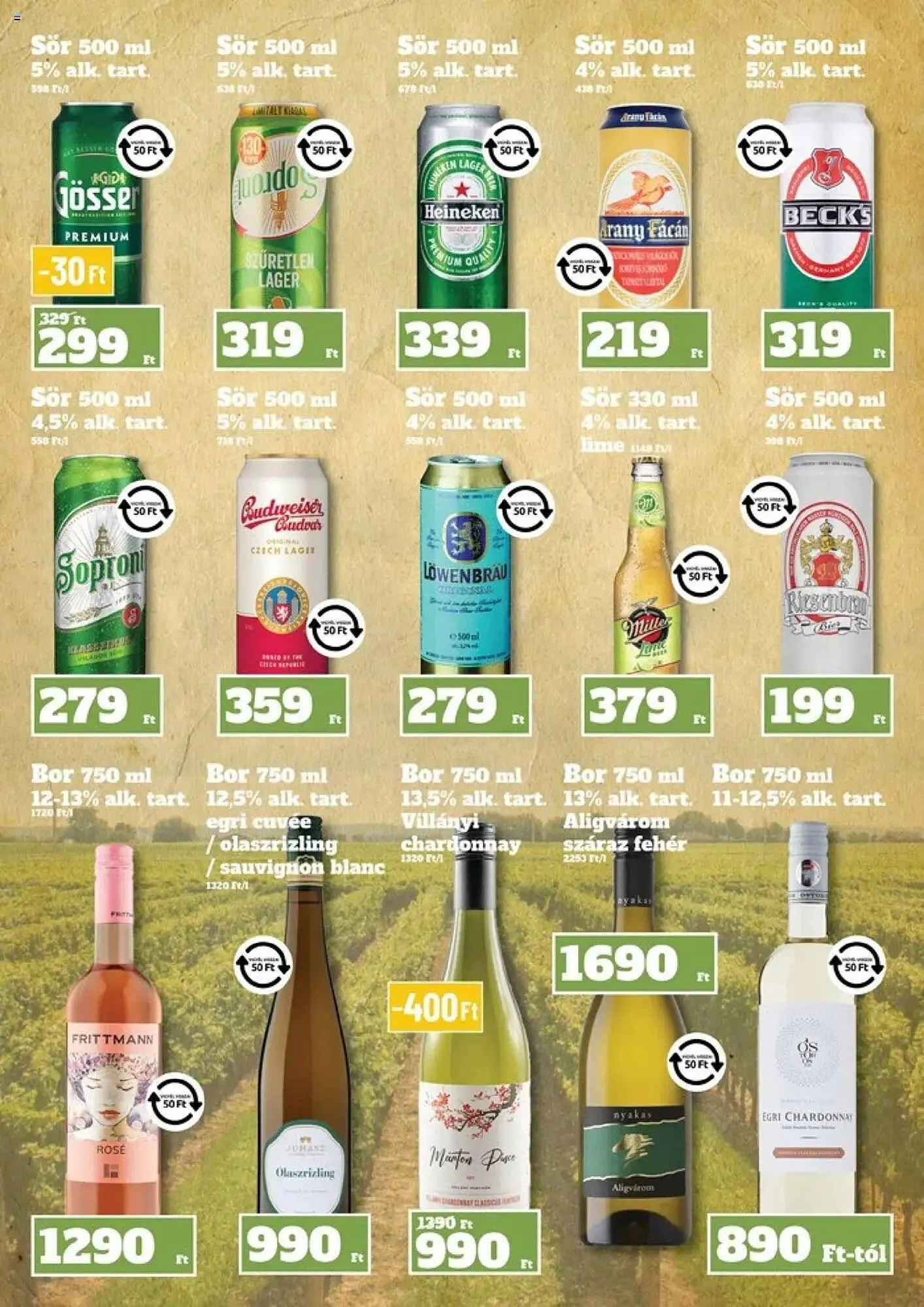 Katalógus Family Diszkont akciós újság június 5.-tól június 11.-ig 2025. - Oldal 13