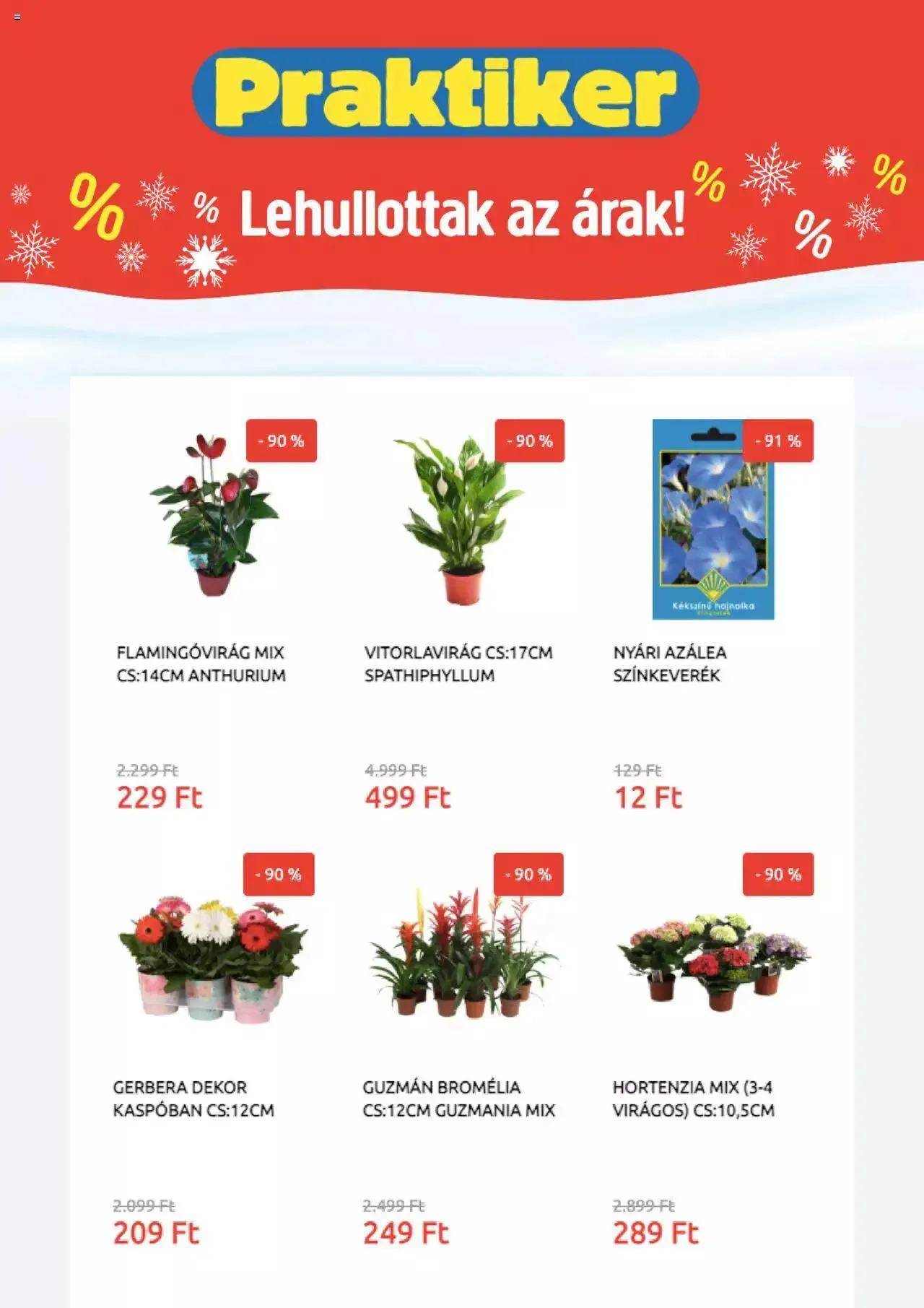 Katalógus Praktiker - Akciós újság január 2.-tól december 31.-ig 2023. - Oldal 3
