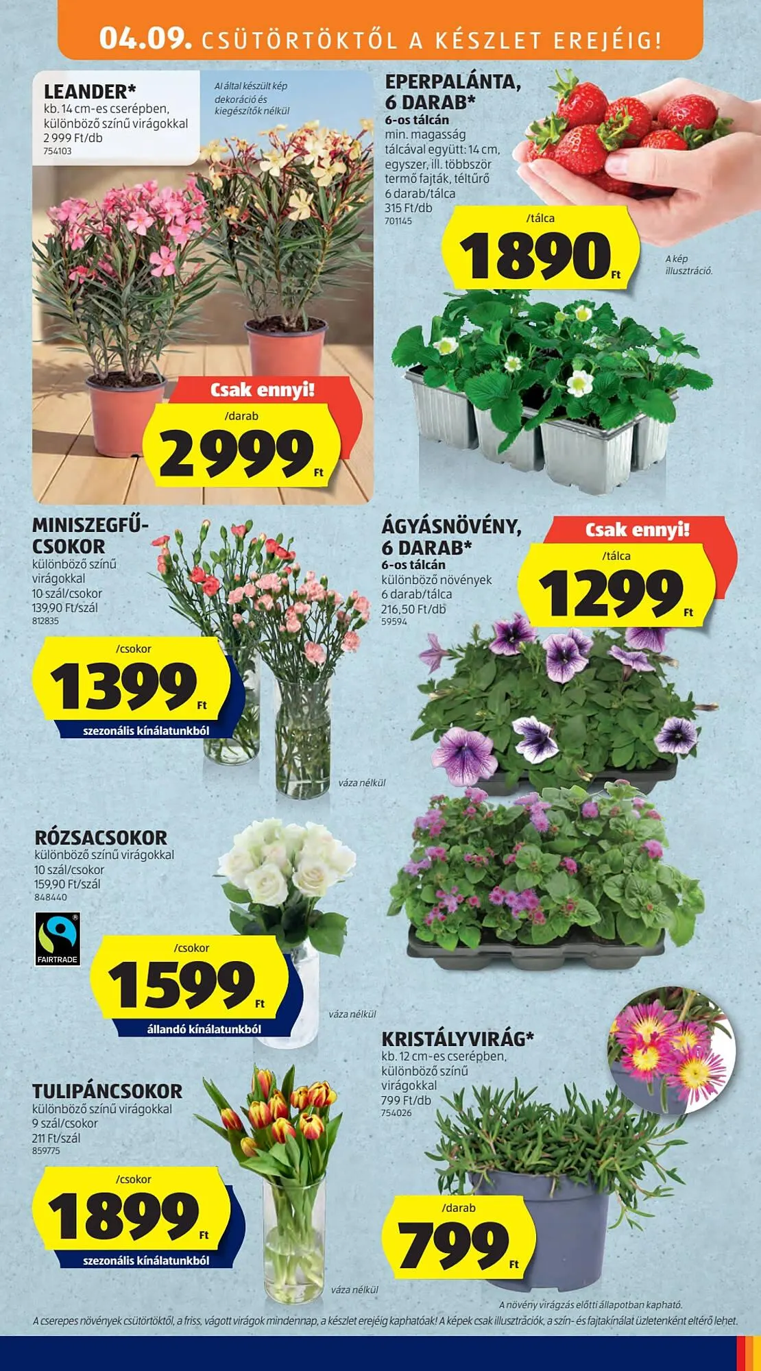 Katalógus ALDI akciós újság április 9.-tól április 12.-ig 2026. - Oldal 31