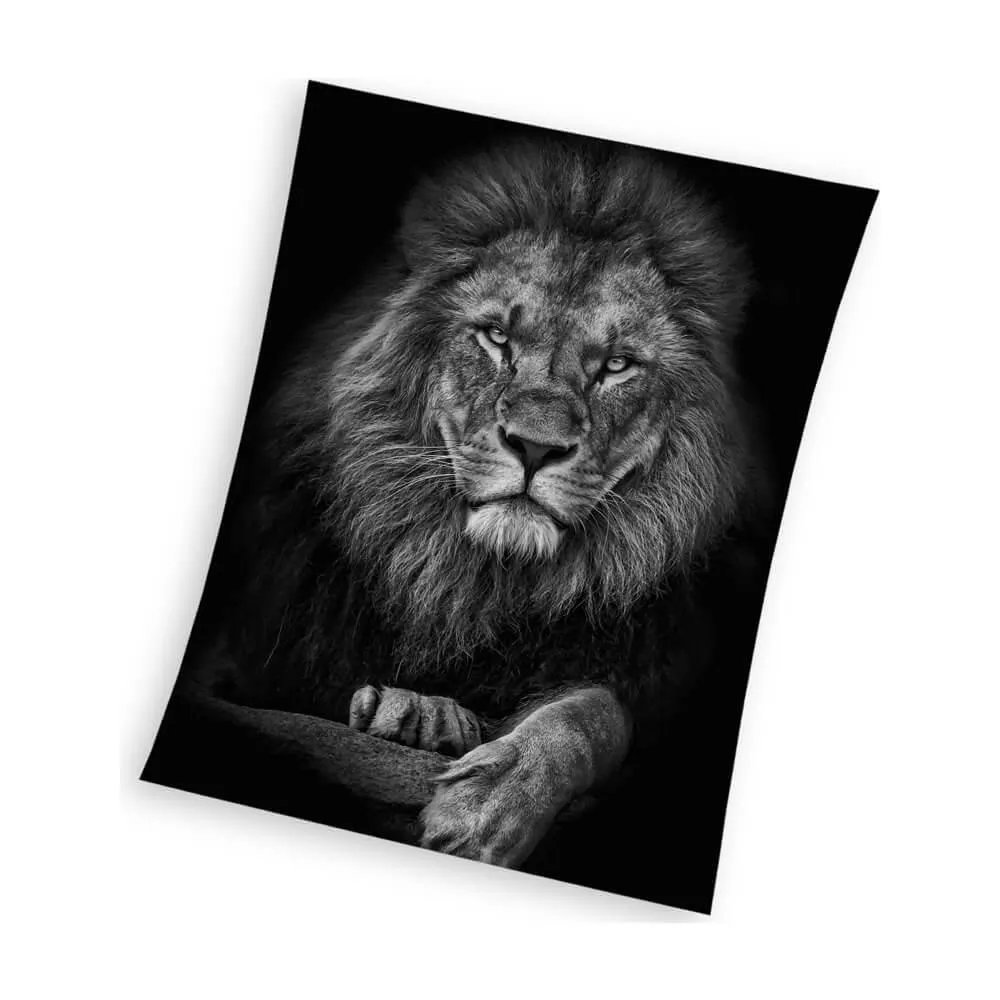 Mikroplüss takaró Oroszlánkirály