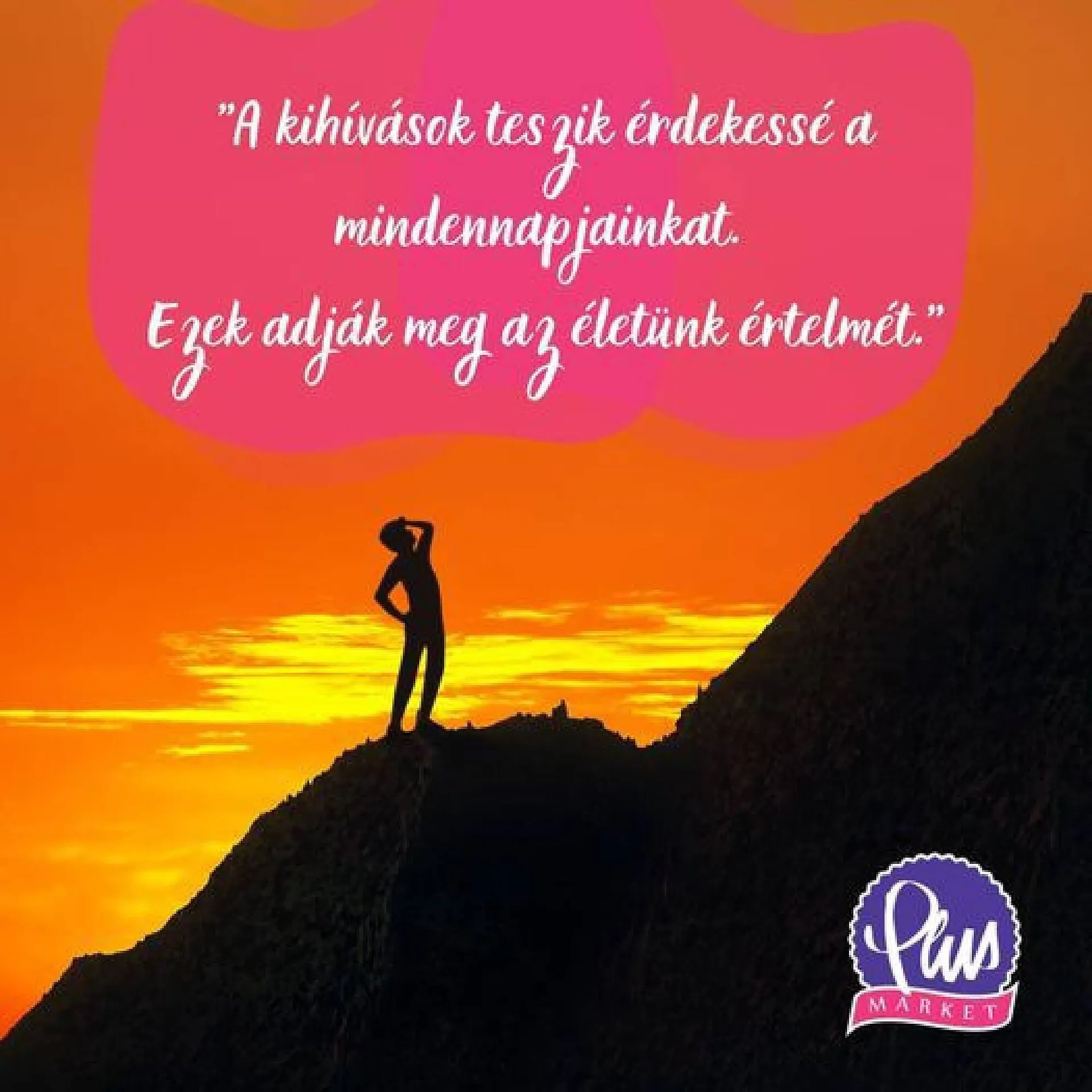 Katalógus PlusMarket akciós újság július 29.-tól augusztus 4.-ig 2024. - Oldal 2