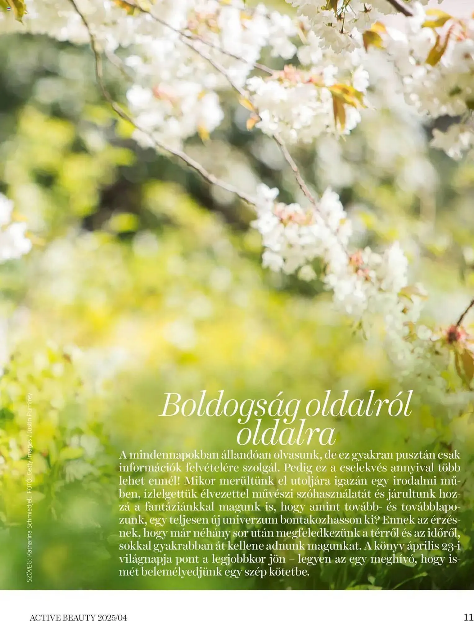 Katalógus DM akciós újság április 16.-tól április 24.-ig 2025. - Oldal 11