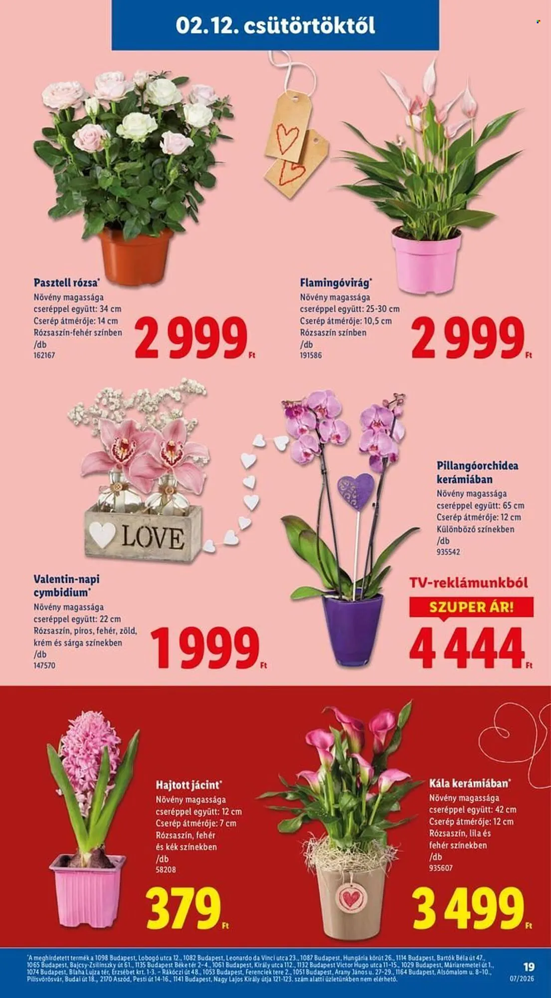 Katalógus Lidl akciós újság február 12.-tól február 18.-ig 2026. - Oldal 19