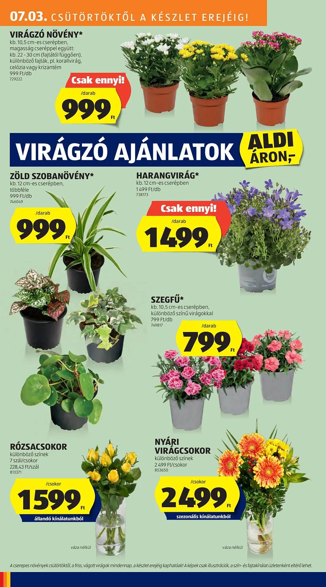 Katalógus ALDI akciós újság július 3.-tól július 9.-ig 2025. - Oldal 8