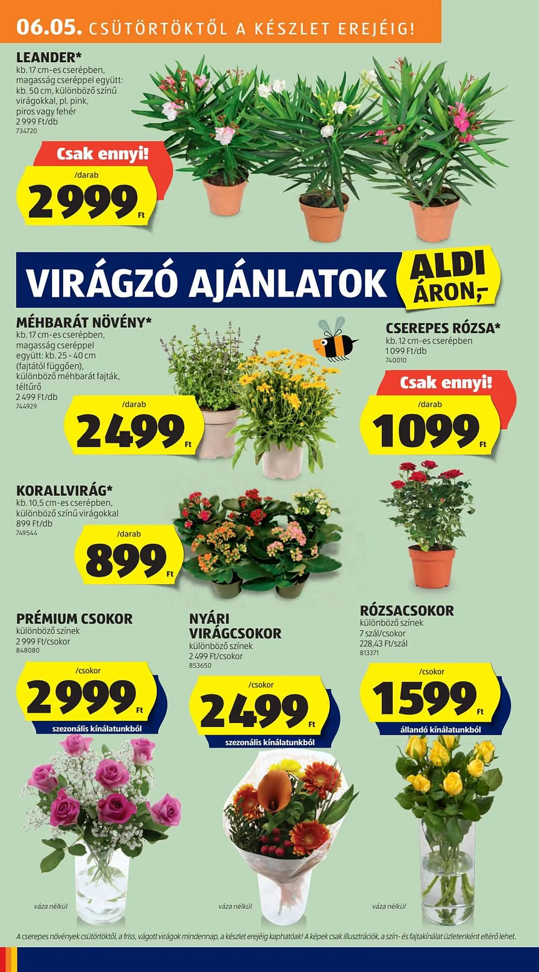 Katalógus ALDI akciós újság június 5.-tól június 11.-ig 2025. - Oldal 10