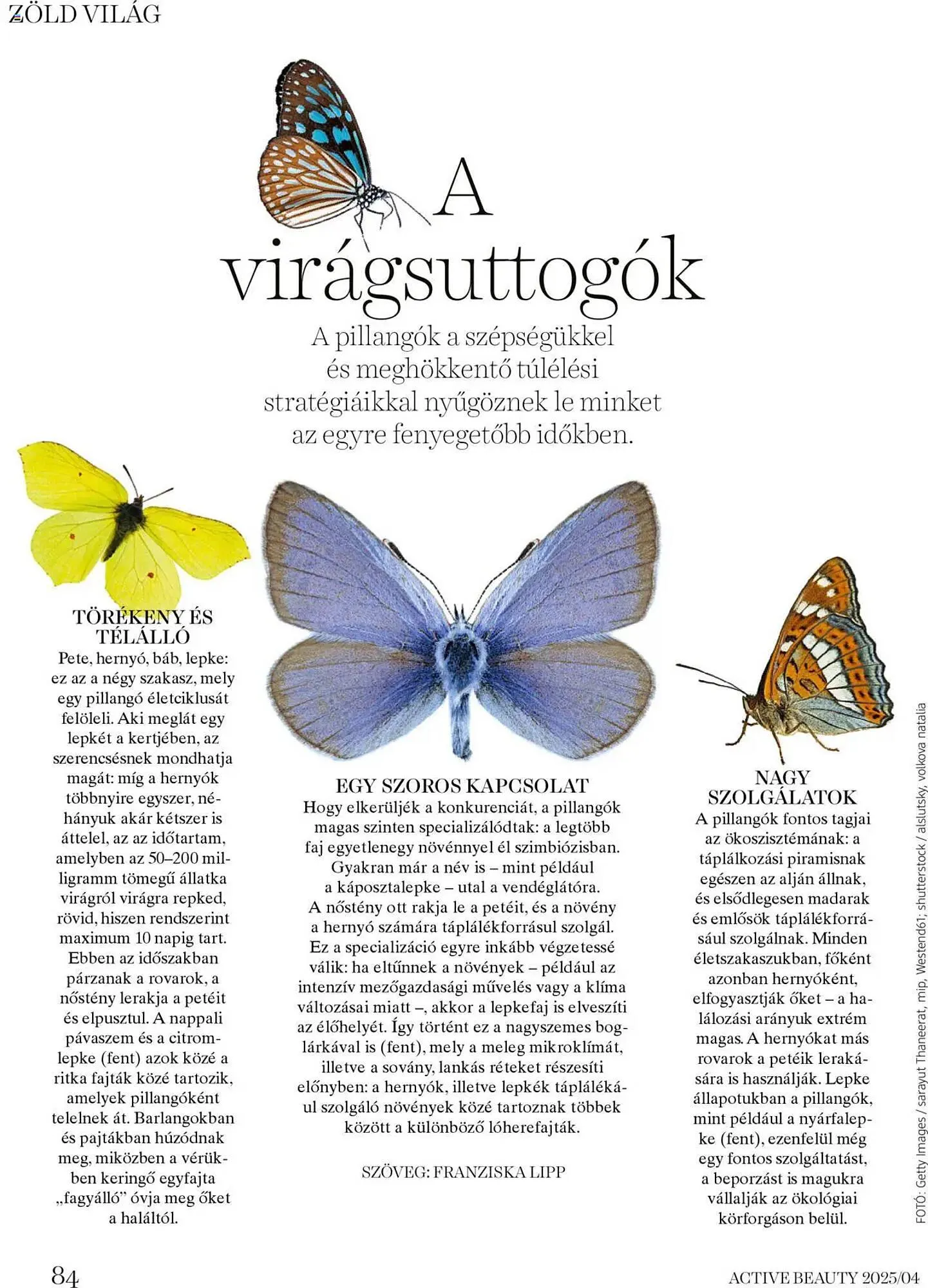 Katalógus DM akciós újság április 16.-tól április 24.-ig 2025. - Oldal 84