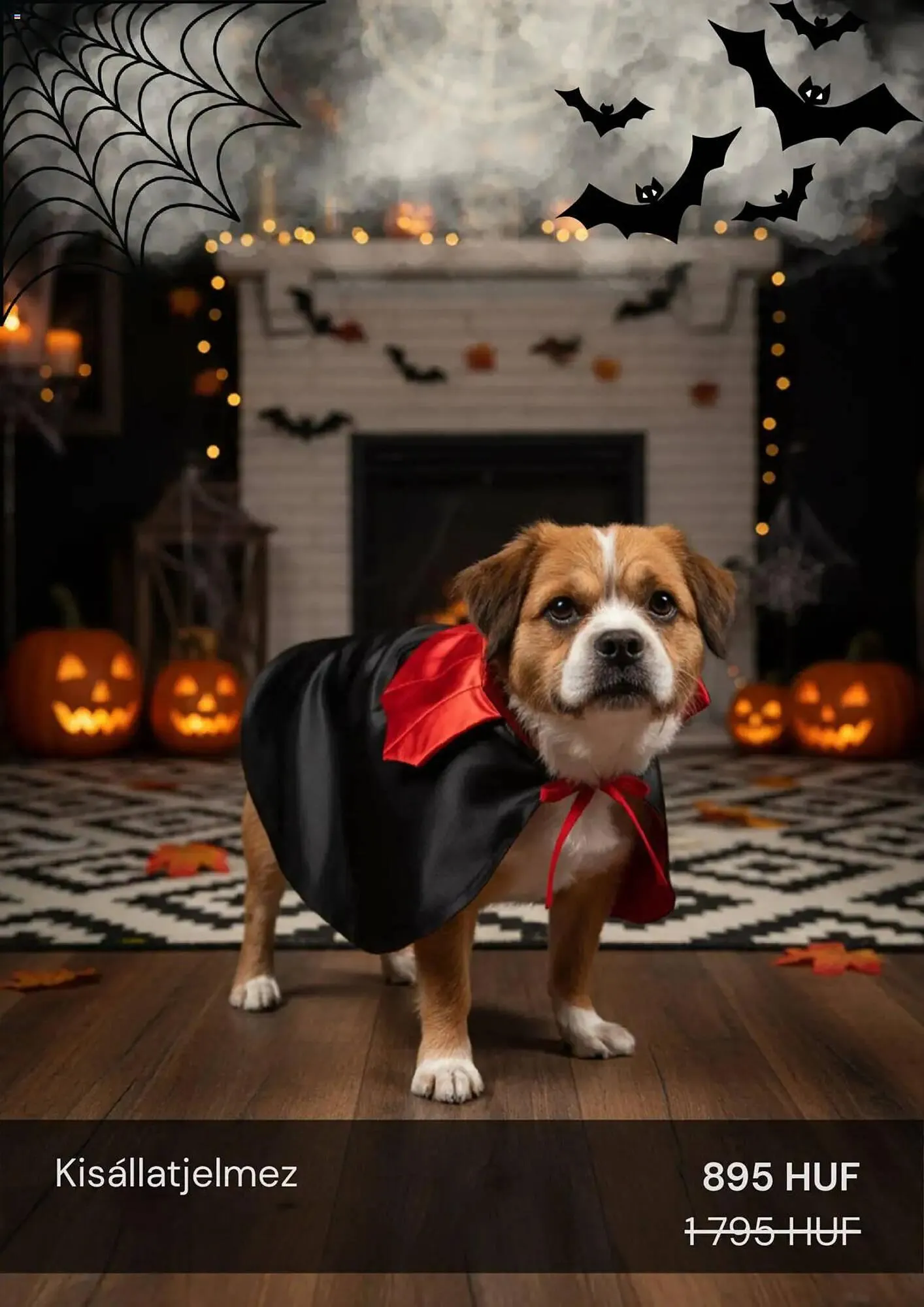 Katalógus Sinsay akciós újság október 21.-tól november 20.-ig 2025. - Oldal 17