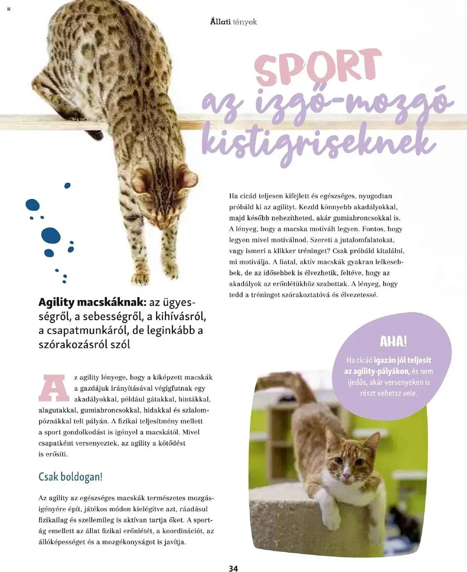 Katalógus Fressnapf akciós újság május 5.-tól május 13.-ig 2025. - Oldal 34