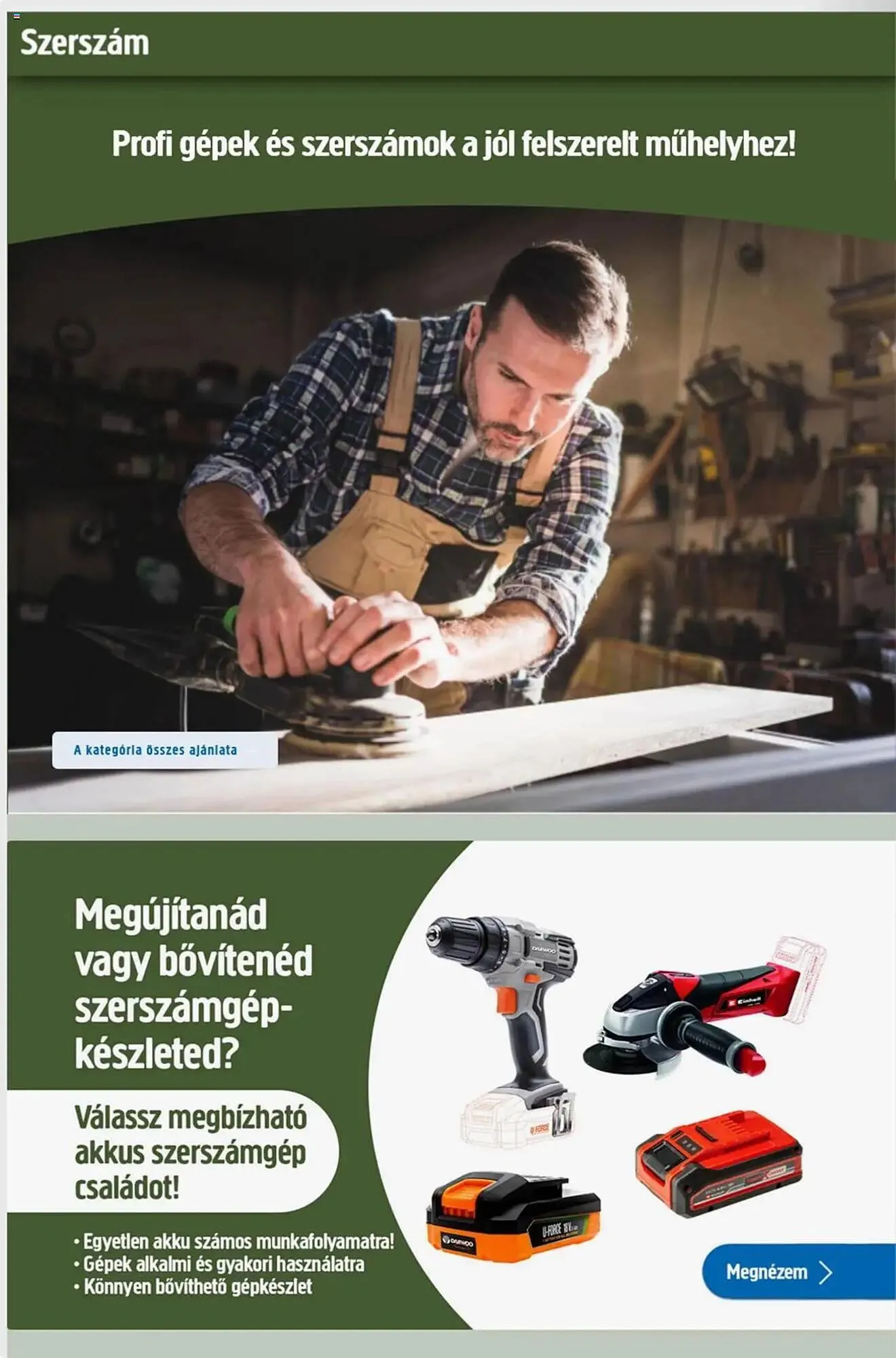 Katalógus Praktiker akciós újság január 2.-tól január 13.-ig 2025. - Oldal 24