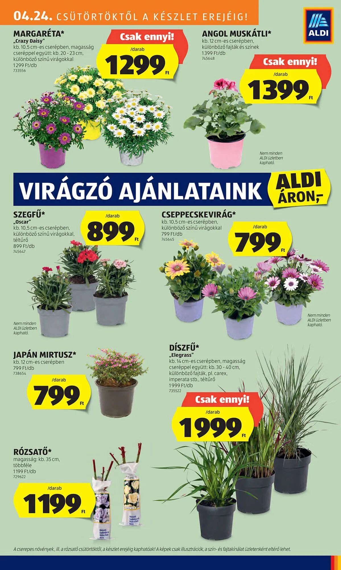 Katalógus ALDI akciós újság április 24.-tól április 29.-ig 2025. - Oldal 27